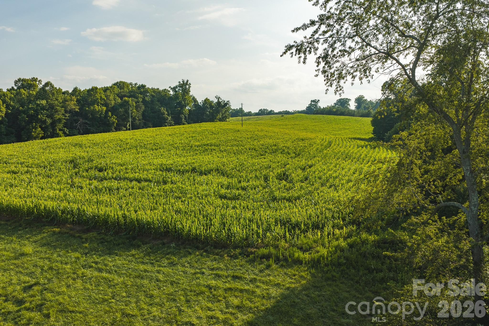 Tbd Sandbar Road Property Photo 26