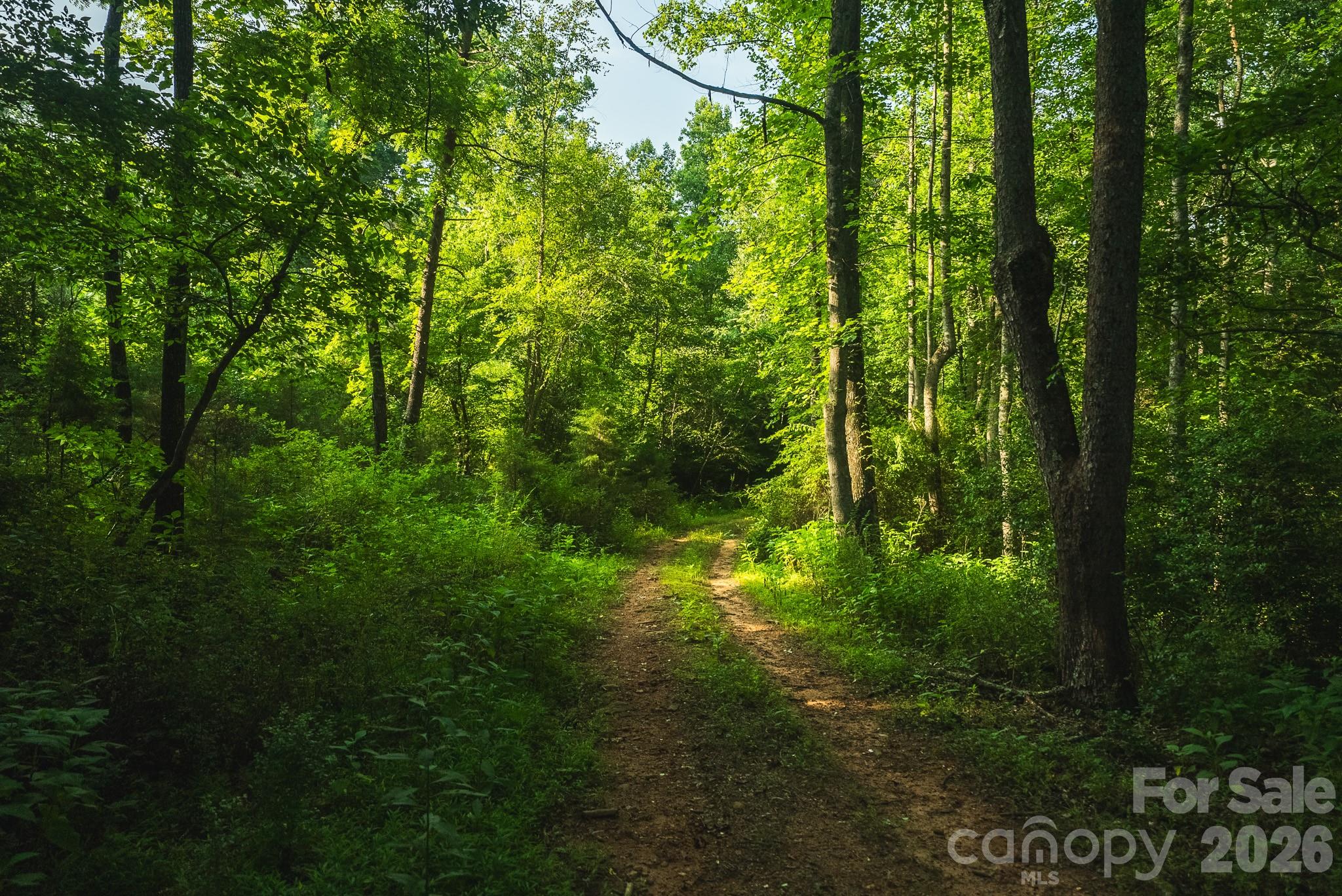 Tbd Sandbar Road Property Photo 32