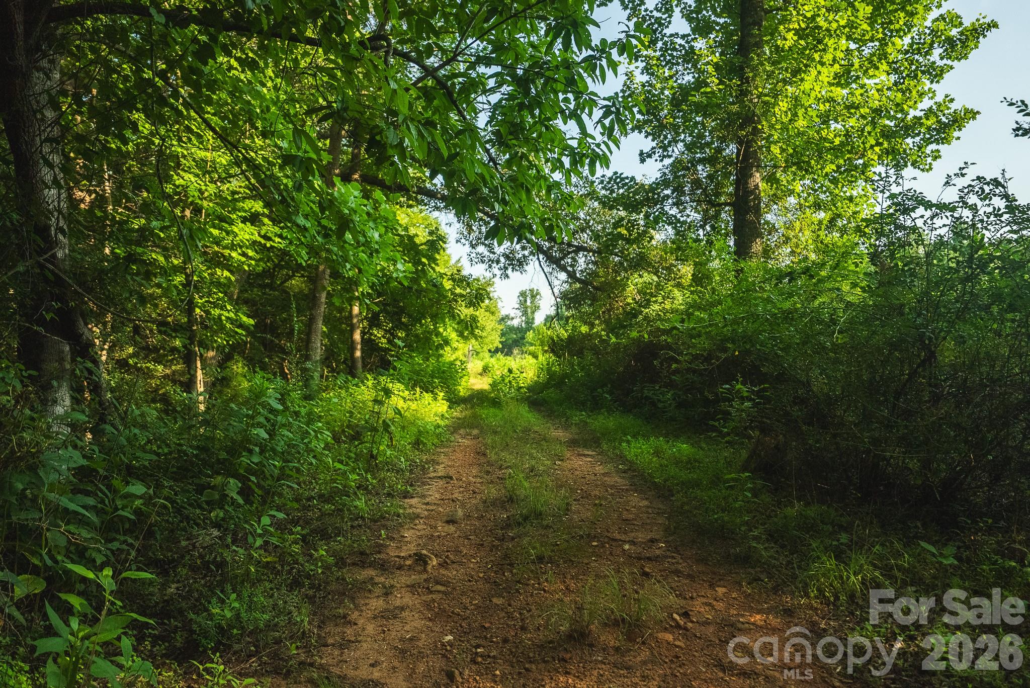 Tbd Sandbar Road Property Photo 33