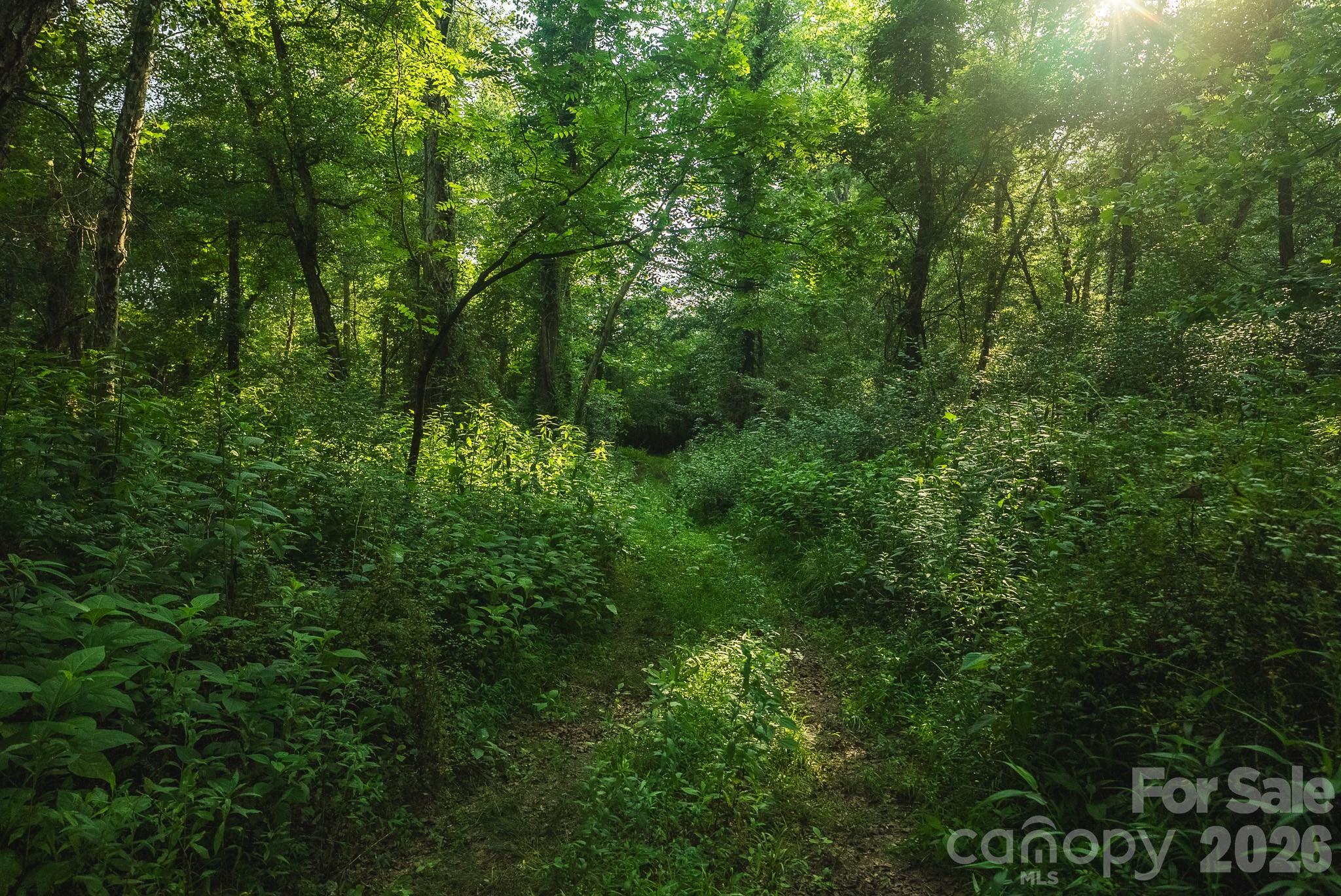 Tbd Sandbar Road Property Photo 34