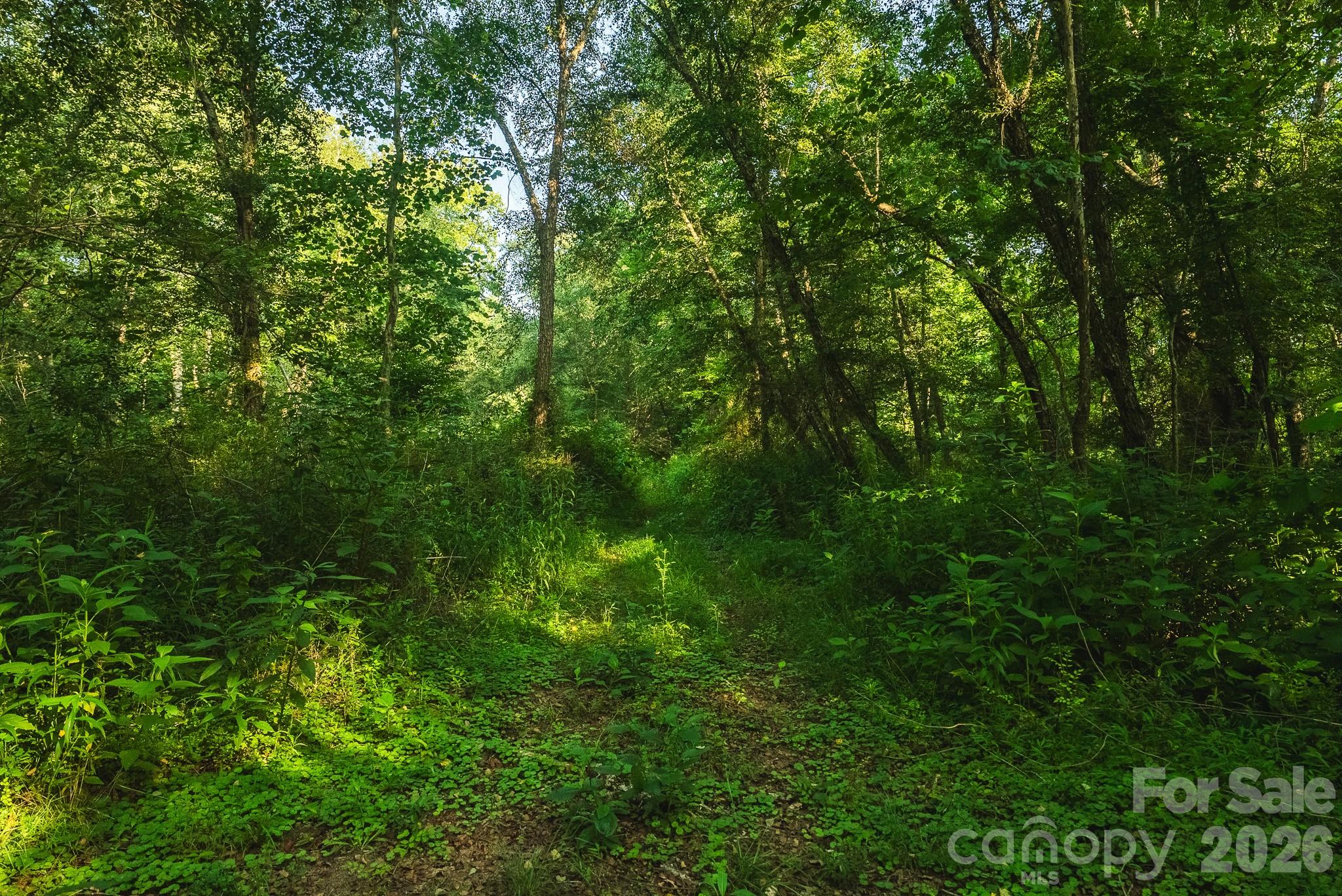 Tbd Sandbar Road Property Photo 35