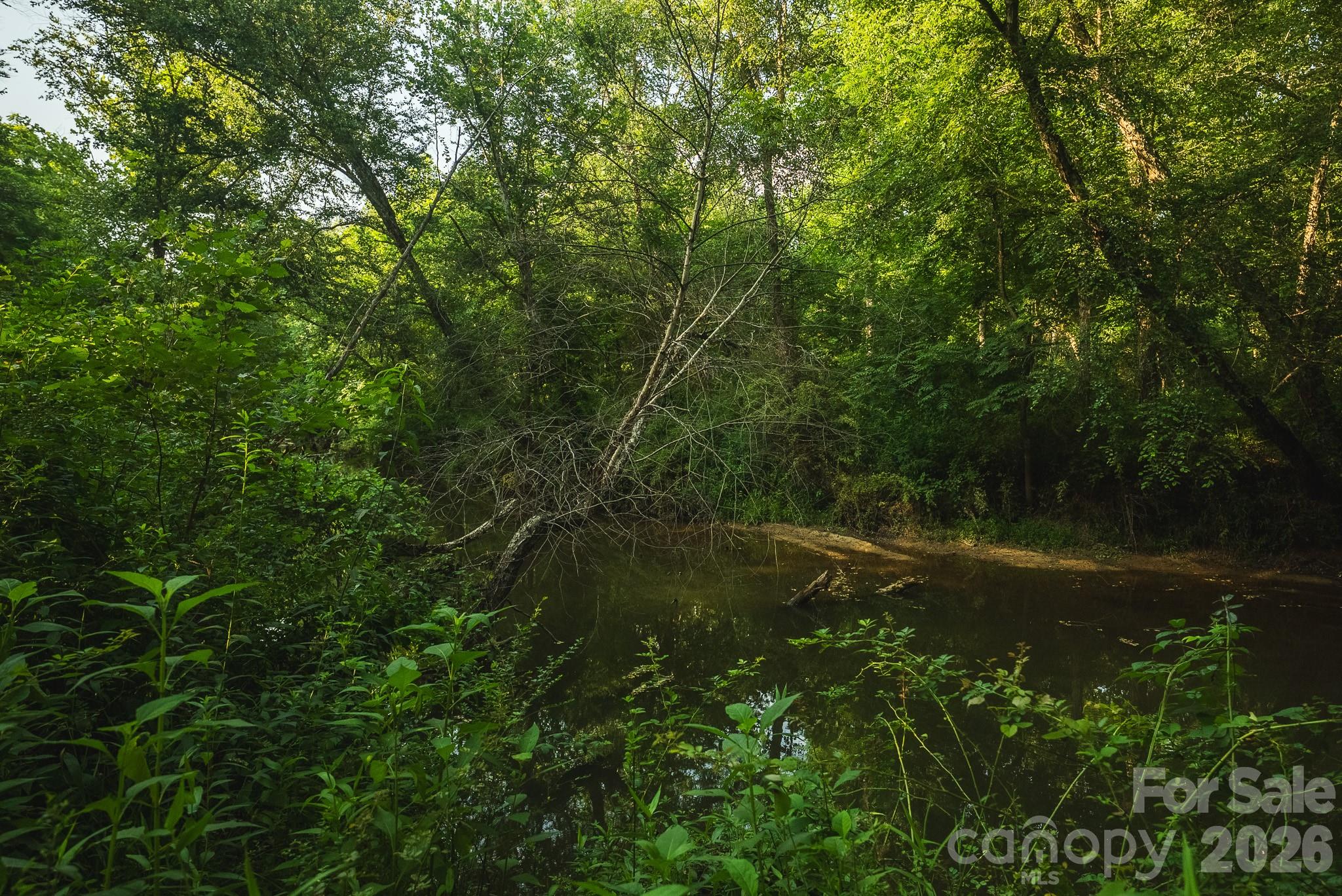 Tbd Sandbar Road Property Photo 36