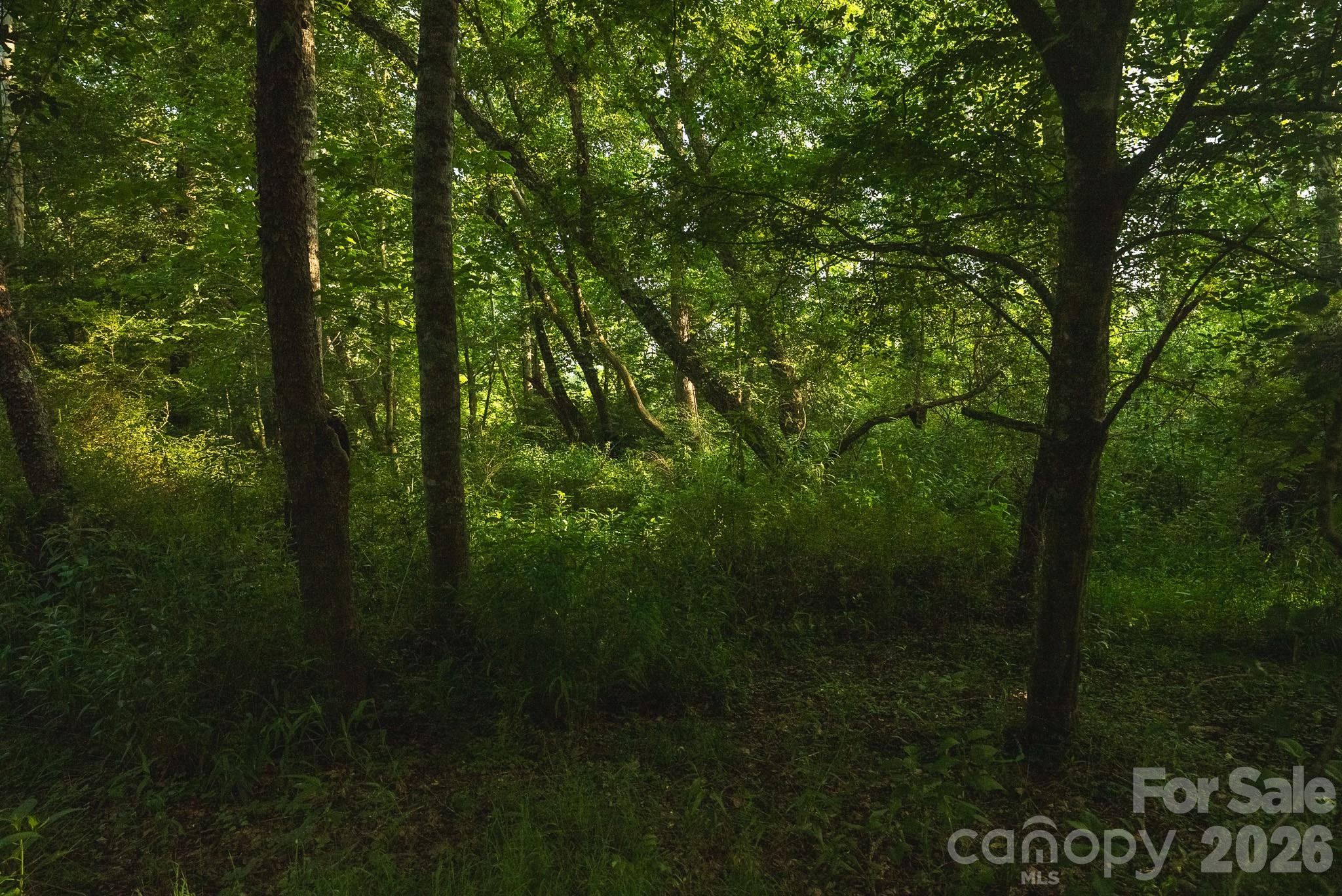 Tbd Sandbar Road Property Photo 37