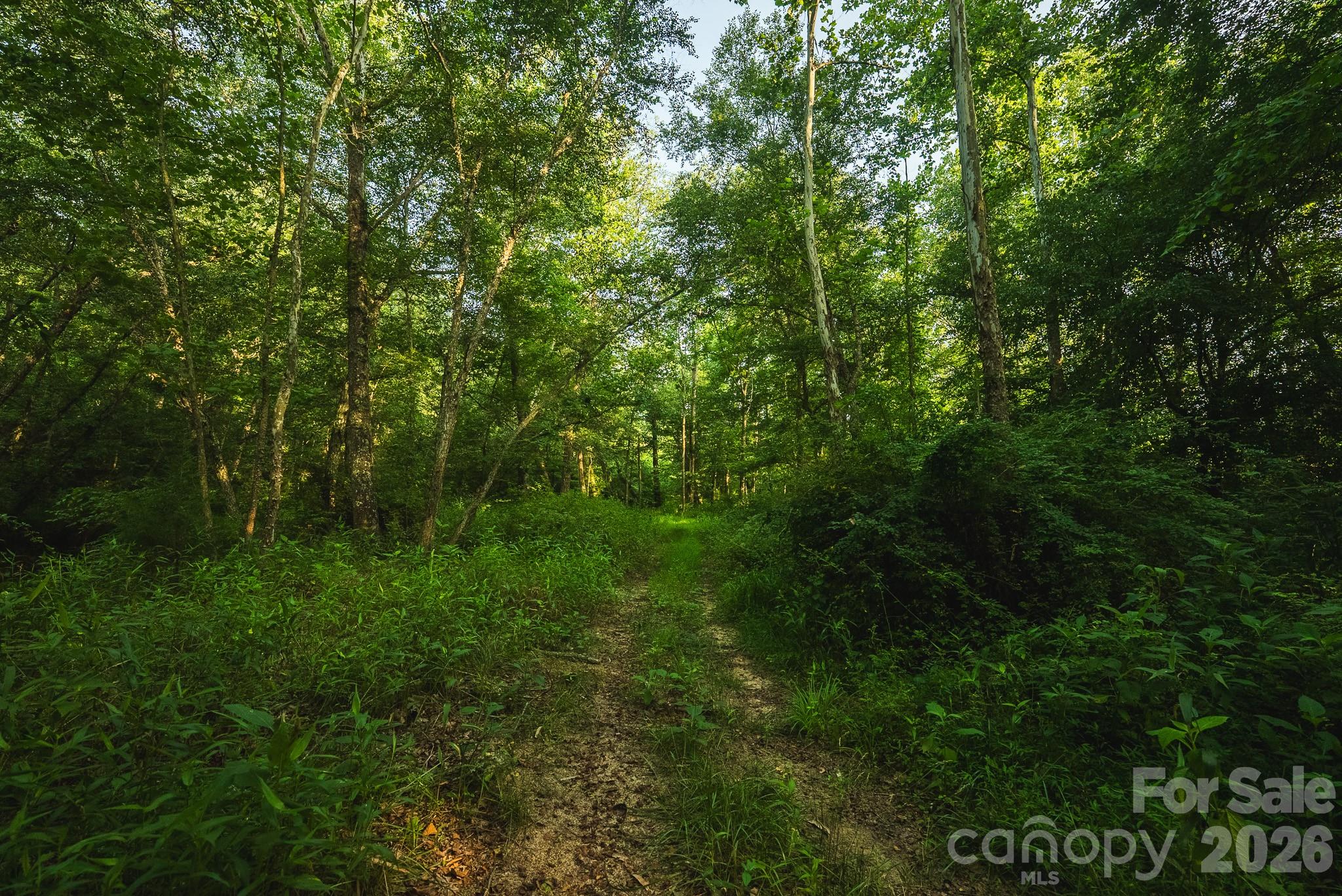 Tbd Sandbar Road Property Photo 38