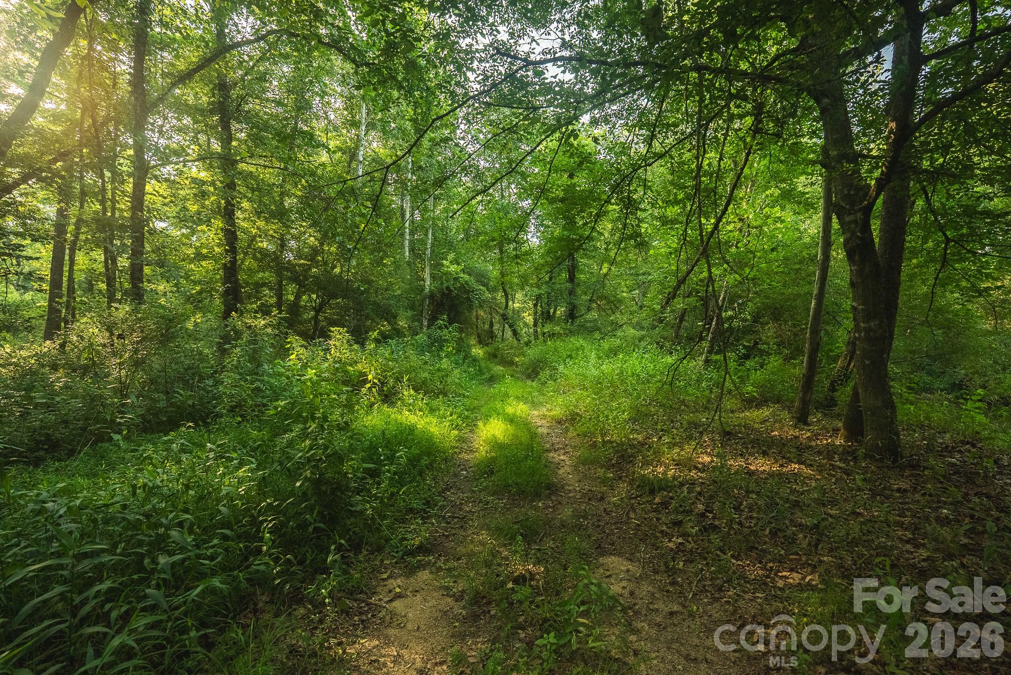 Tbd Sandbar Road Property Photo 39