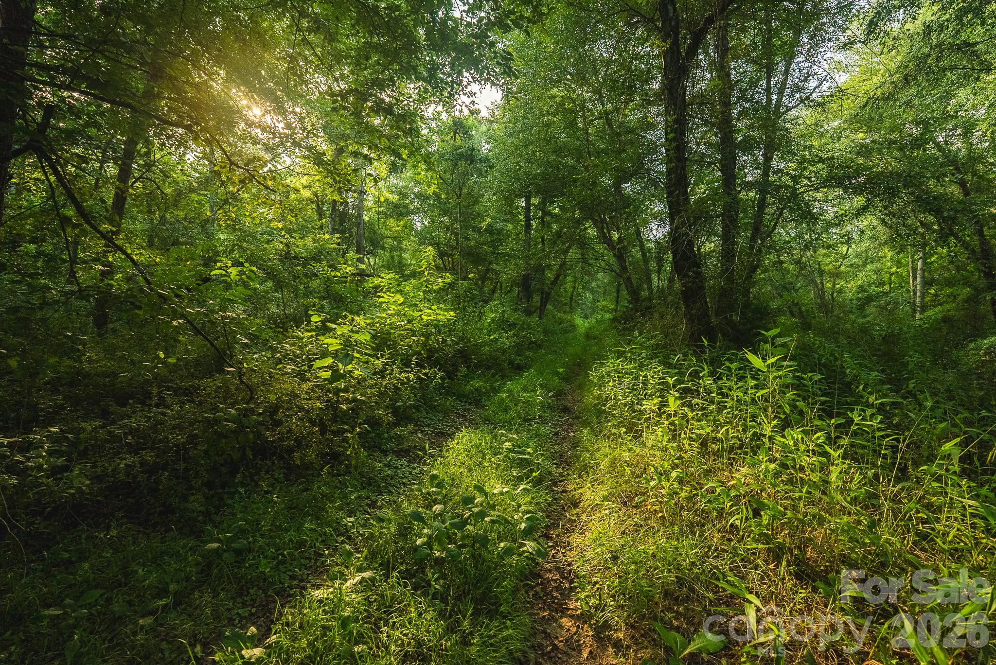 Tbd Sandbar Road Property Photo 41