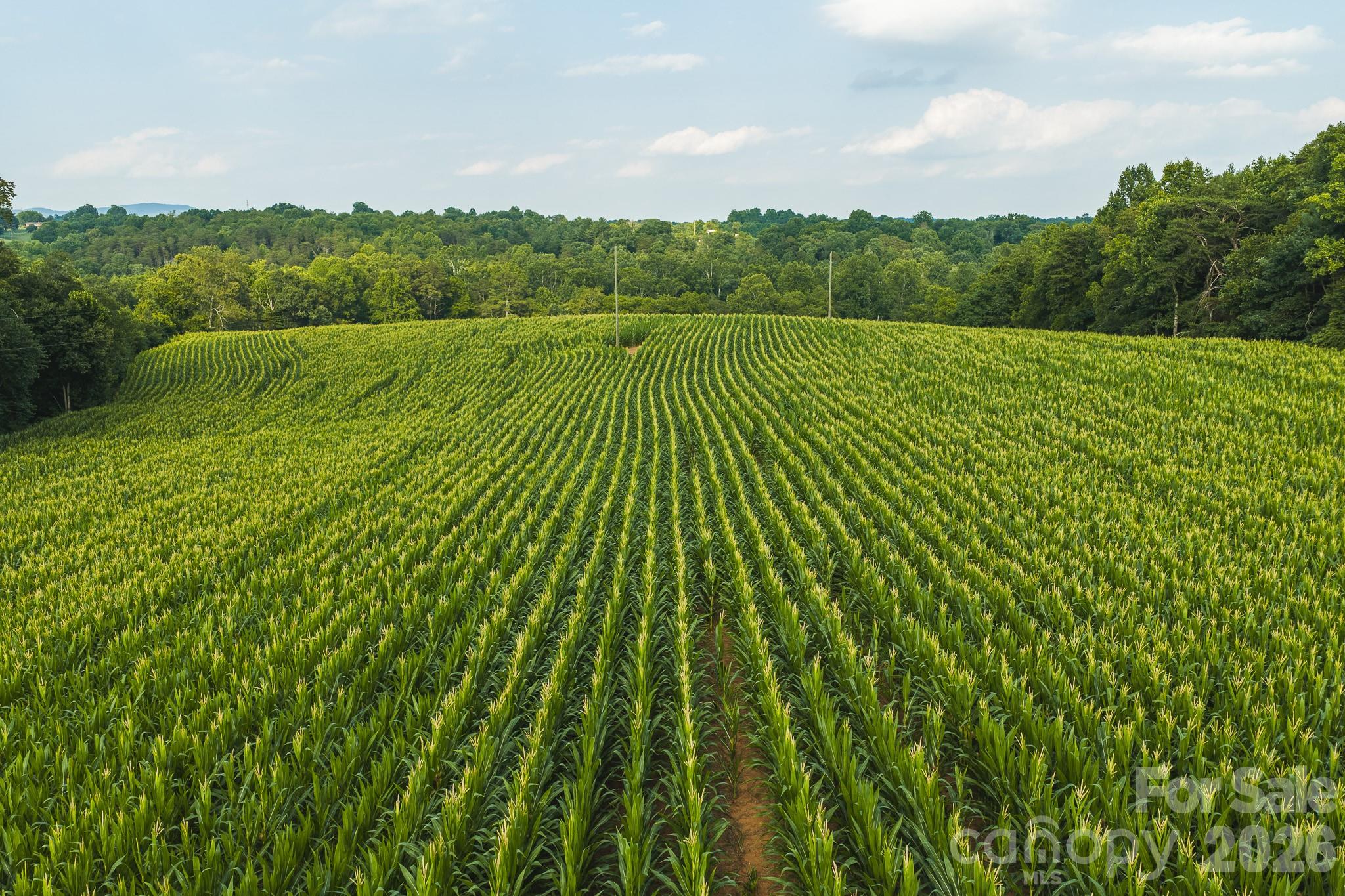 Tbd Sandbar Road Property Photo 42