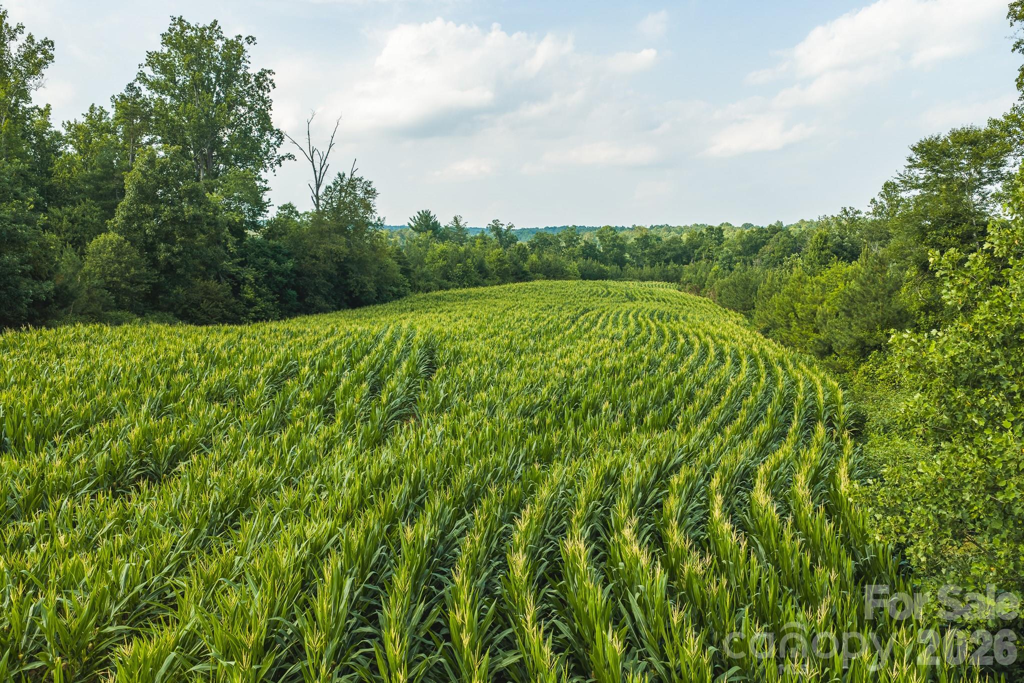 Tbd Sandbar Road Property Photo 43