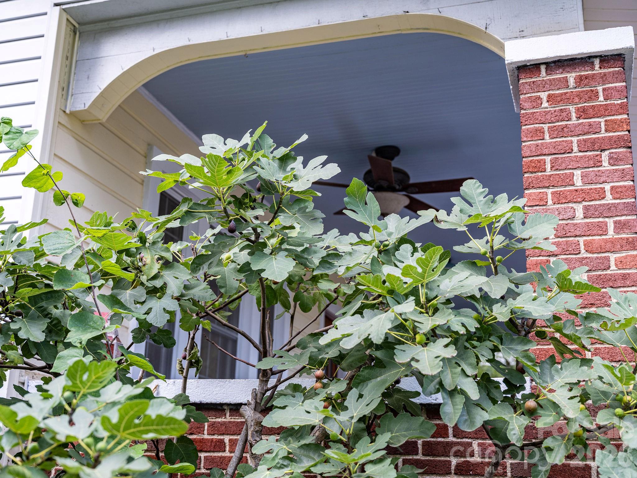 33 Fairfax Avenue Property Photo 40