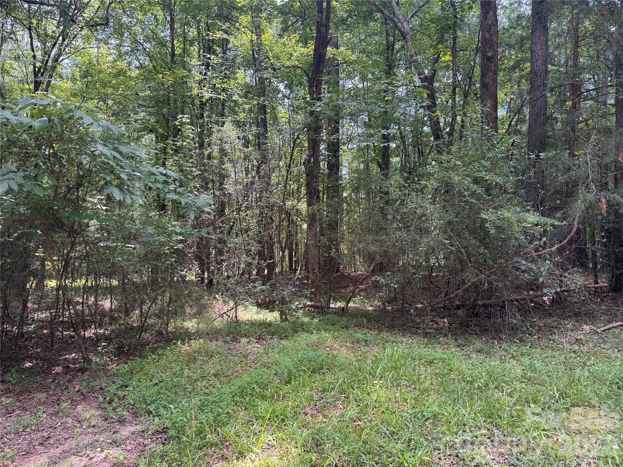226 Washington Street Property Photo 5