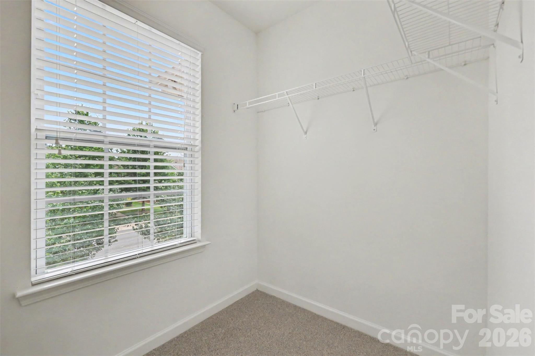 9369 Hamel Street Property Photo 20