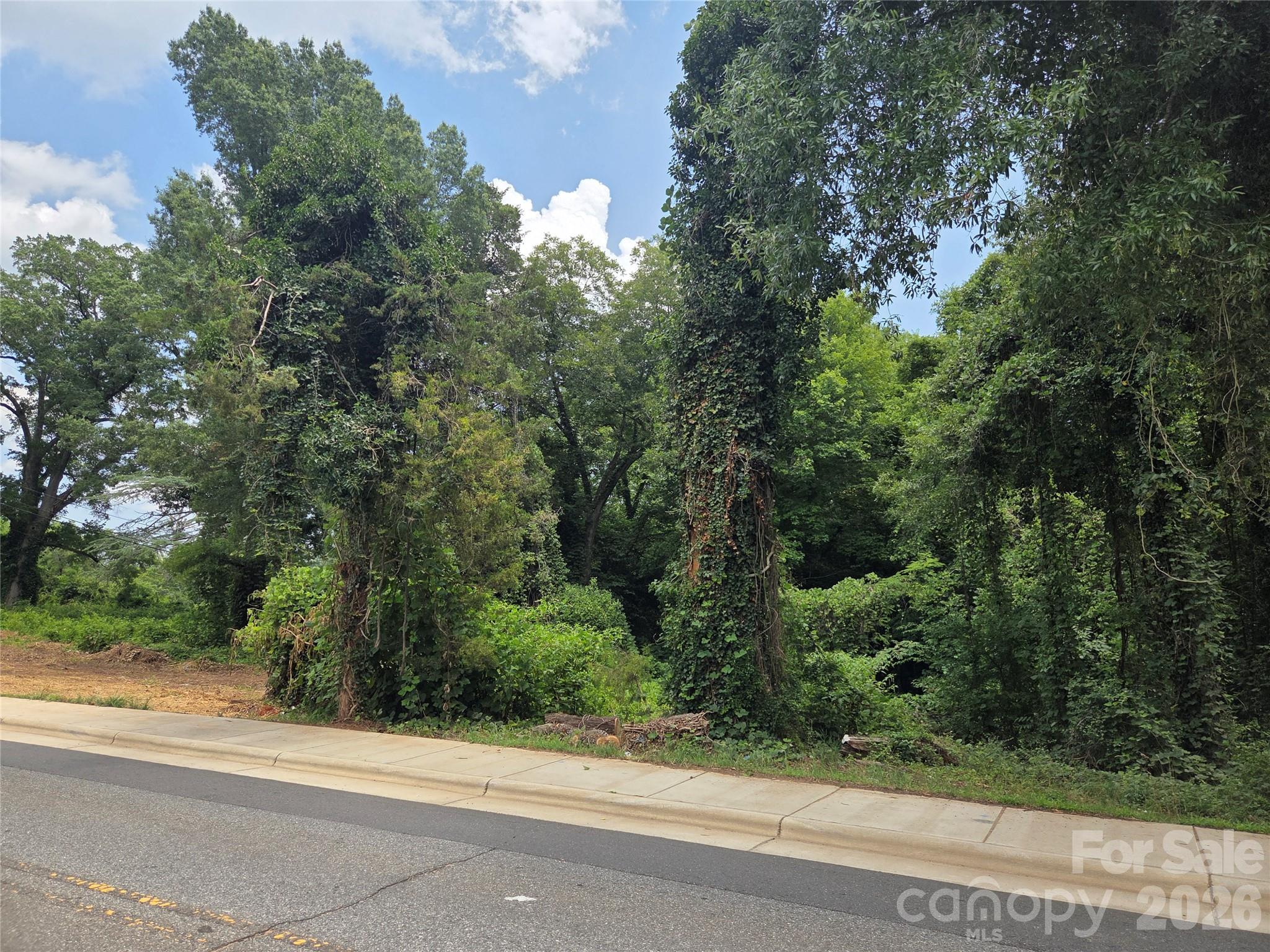 715 Old Charlotte Road Property Photo 1
