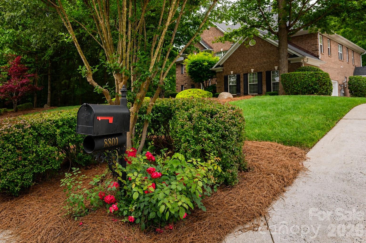 8801 Nellie Lane Property Photo 41