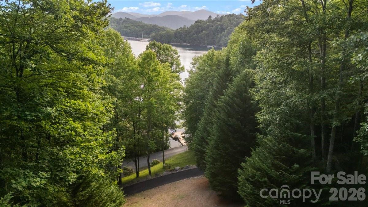 317 Von Trapp Lane Property Photo 4