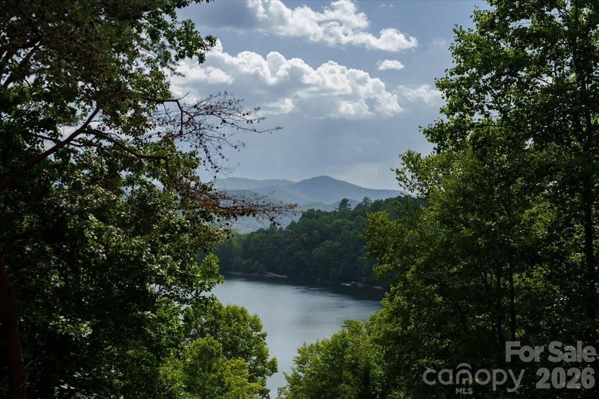 317 Von Trapp Lane Property Photo 5