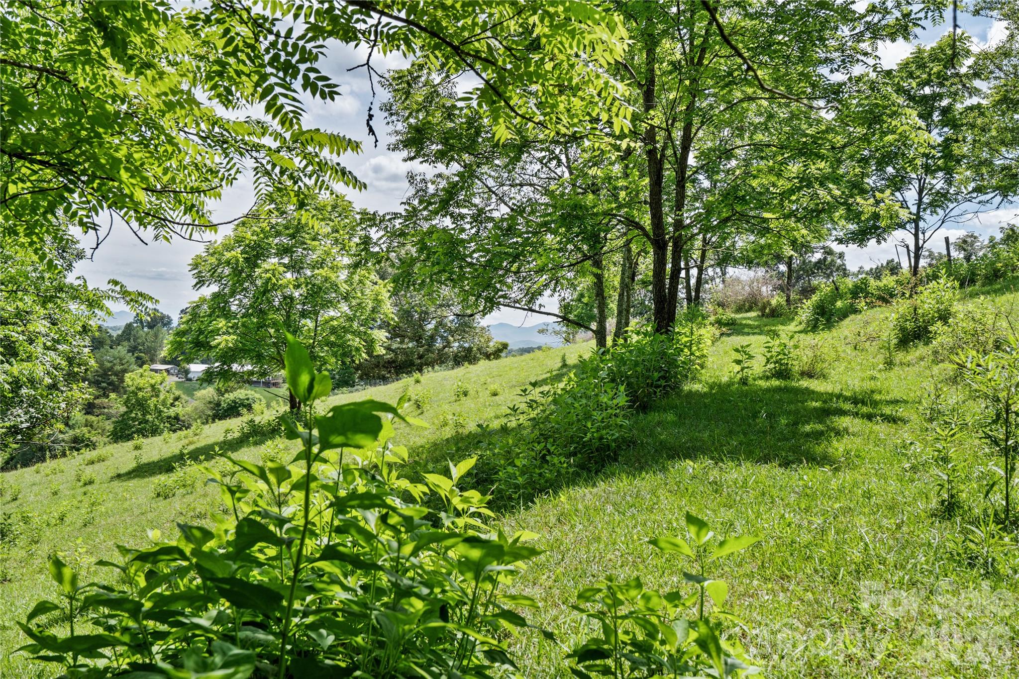 737 Tillery Branch Road Property Photo 20