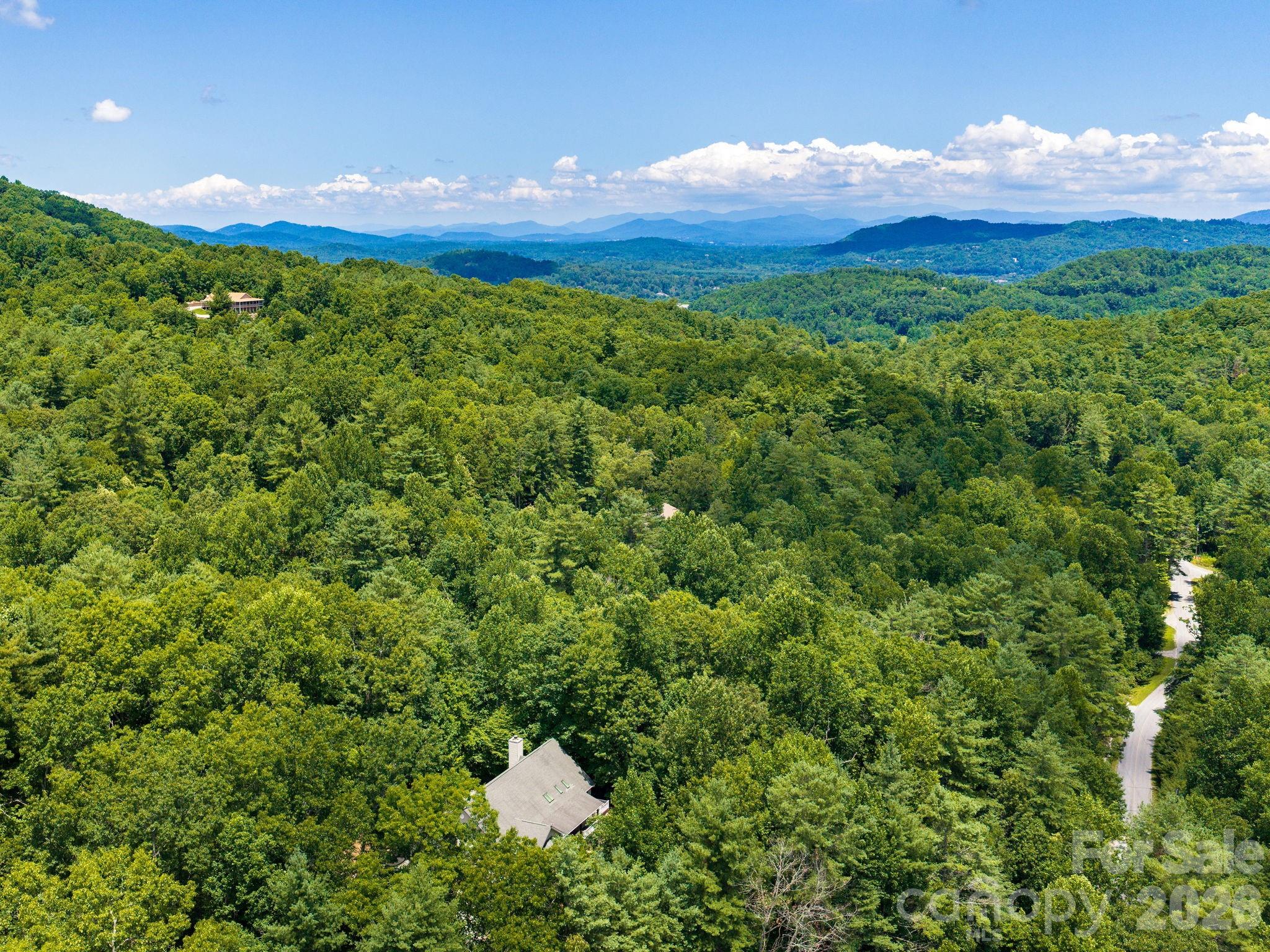 49 Indian Ridge Trail Property Photo 38