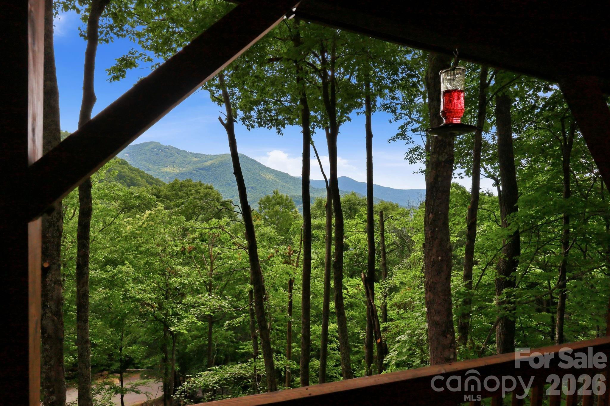 588 Tawodi Trail Property Photo 3