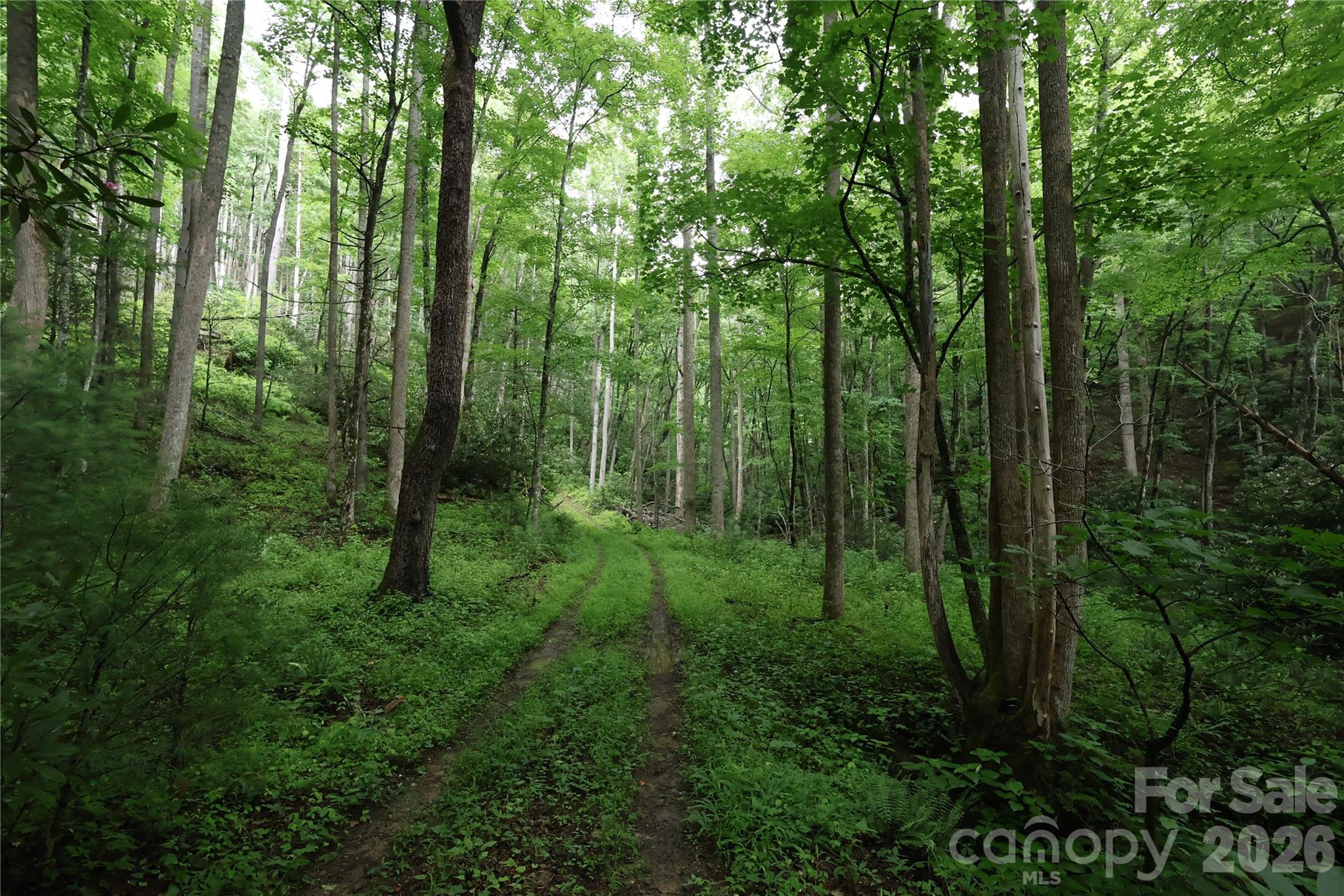 Tbd Blowing Rock Road Property Photo 1