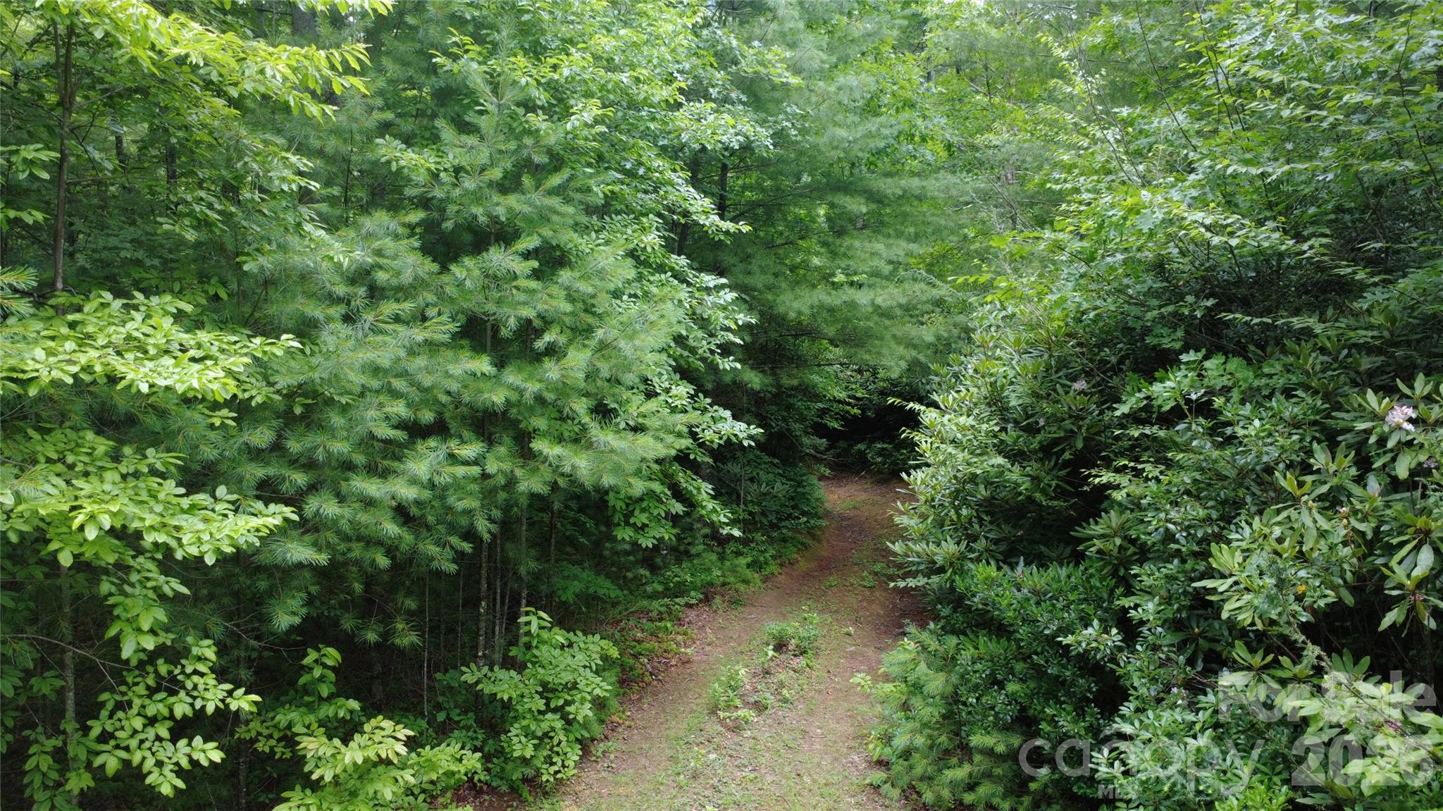 Tbd Blowing Rock Road Property Photo 3