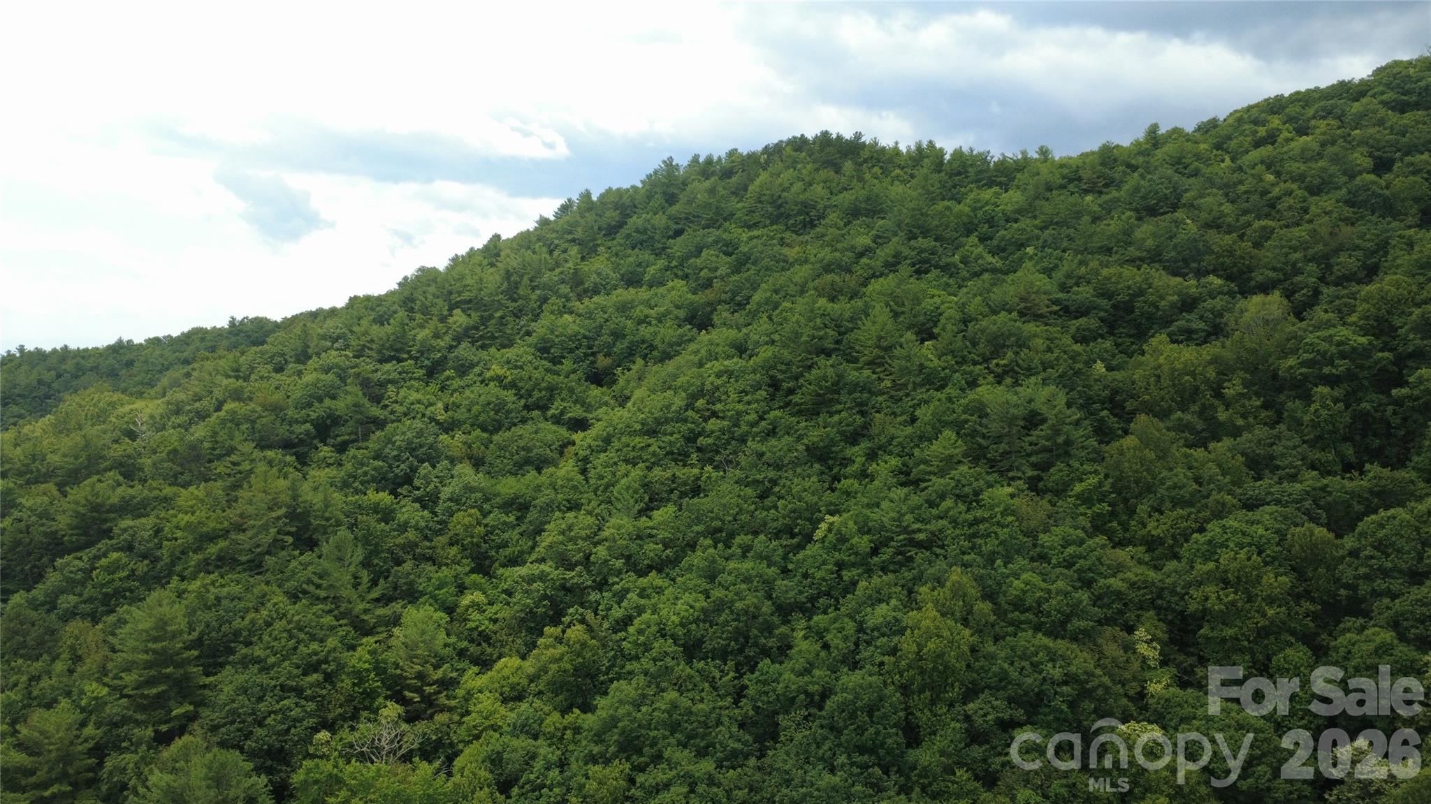 Tbd Blowing Rock Road Property Photo 10