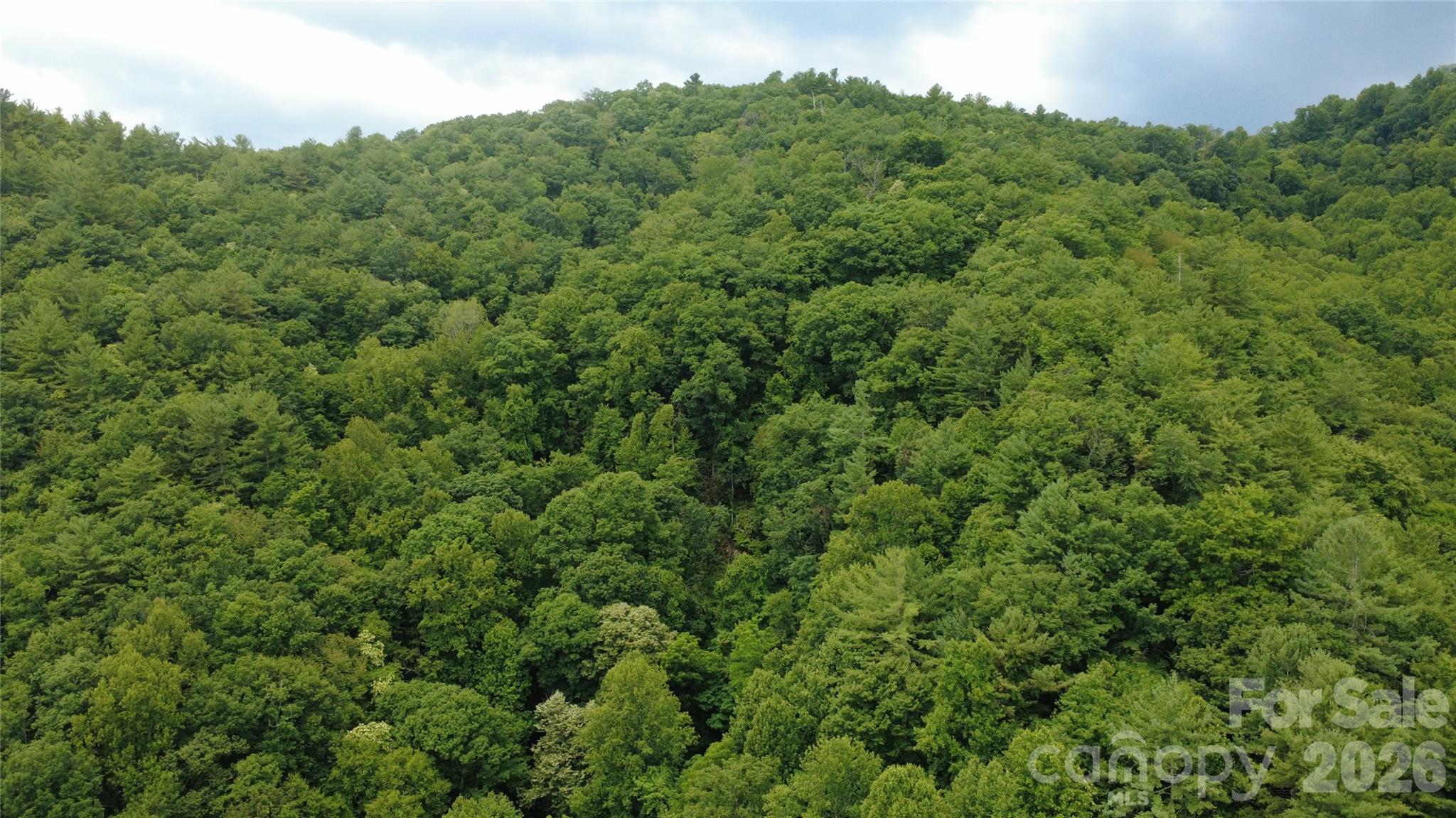 Tbd Blowing Rock Road Property Photo 11