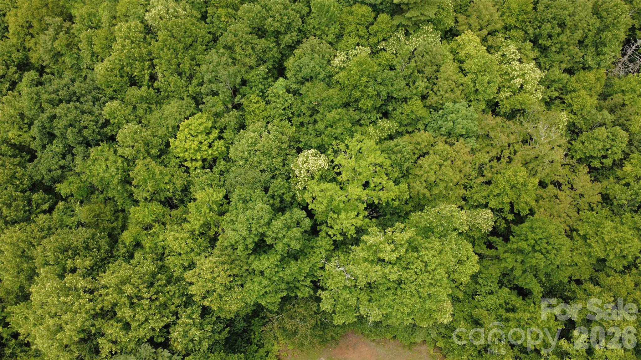 Tbd Blowing Rock Road Property Photo 12