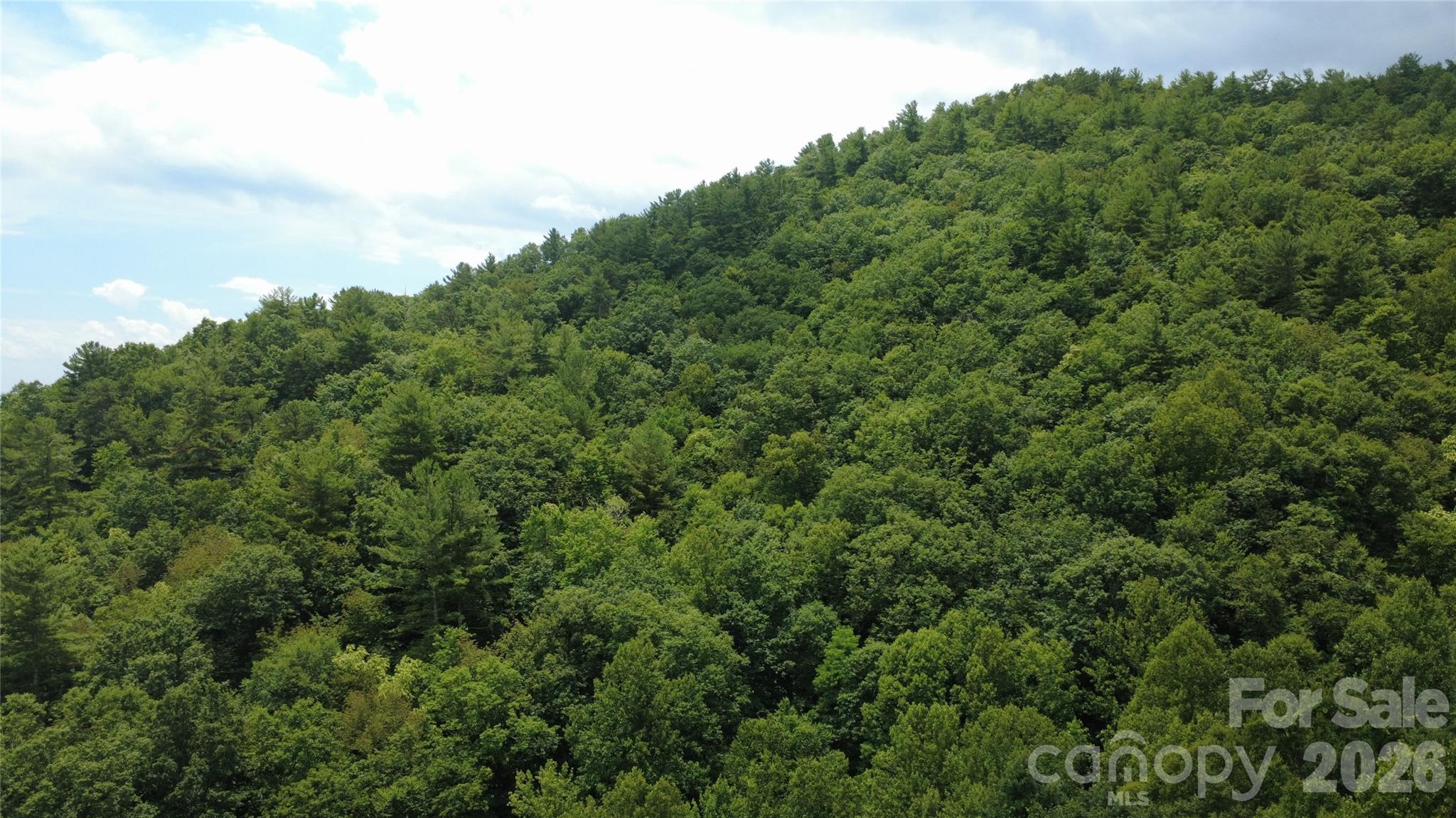 Tbd Blowing Rock Road Property Photo 13