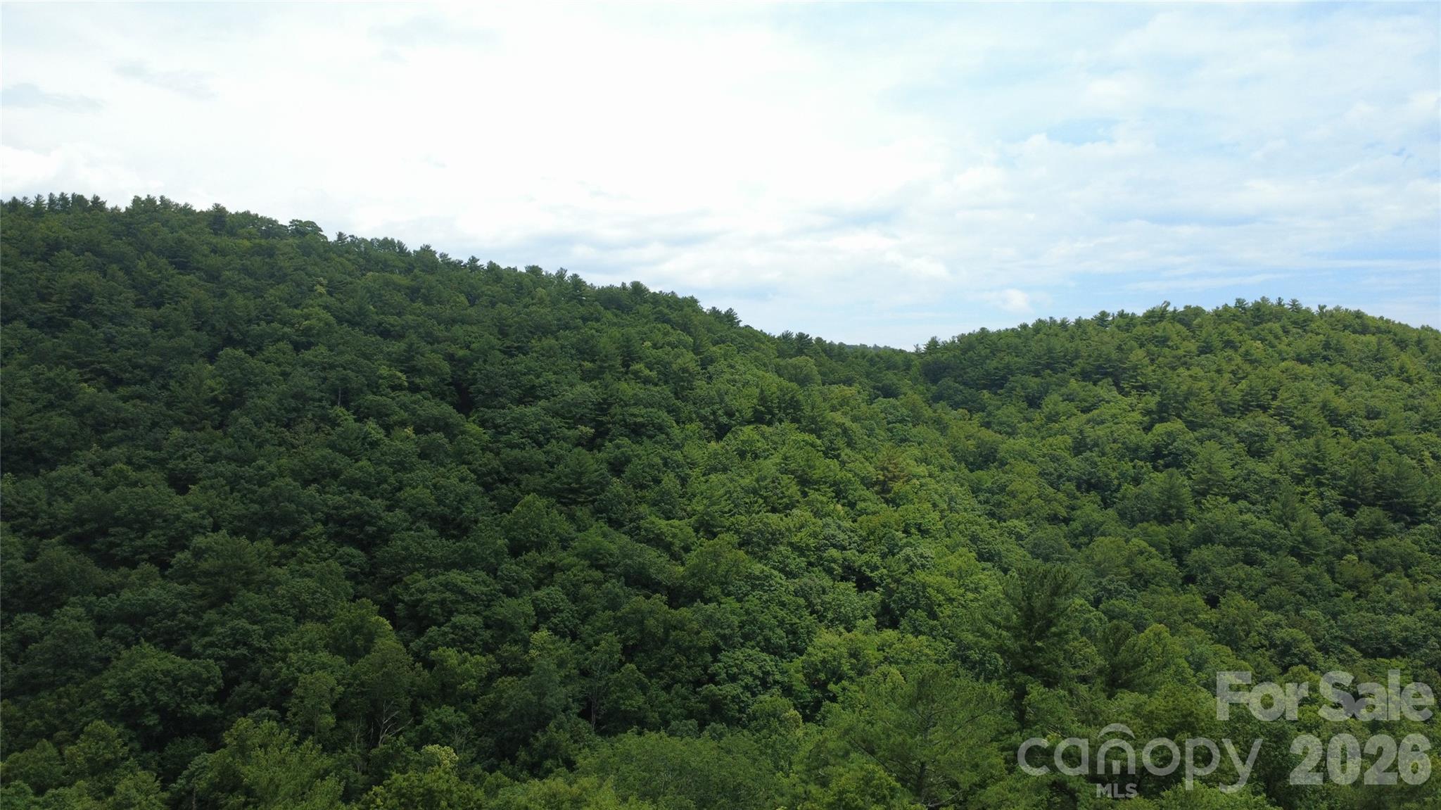Tbd Blowing Rock Road Property Photo 16