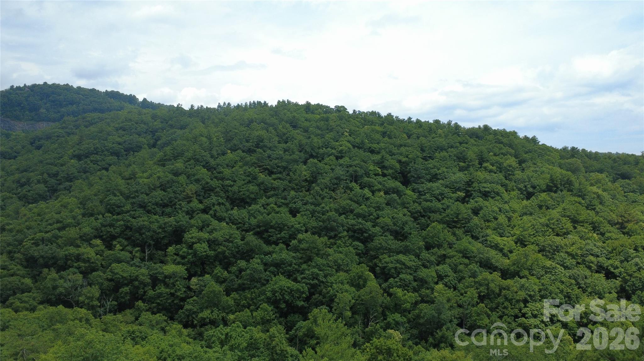 Tbd Blowing Rock Road Property Photo 17