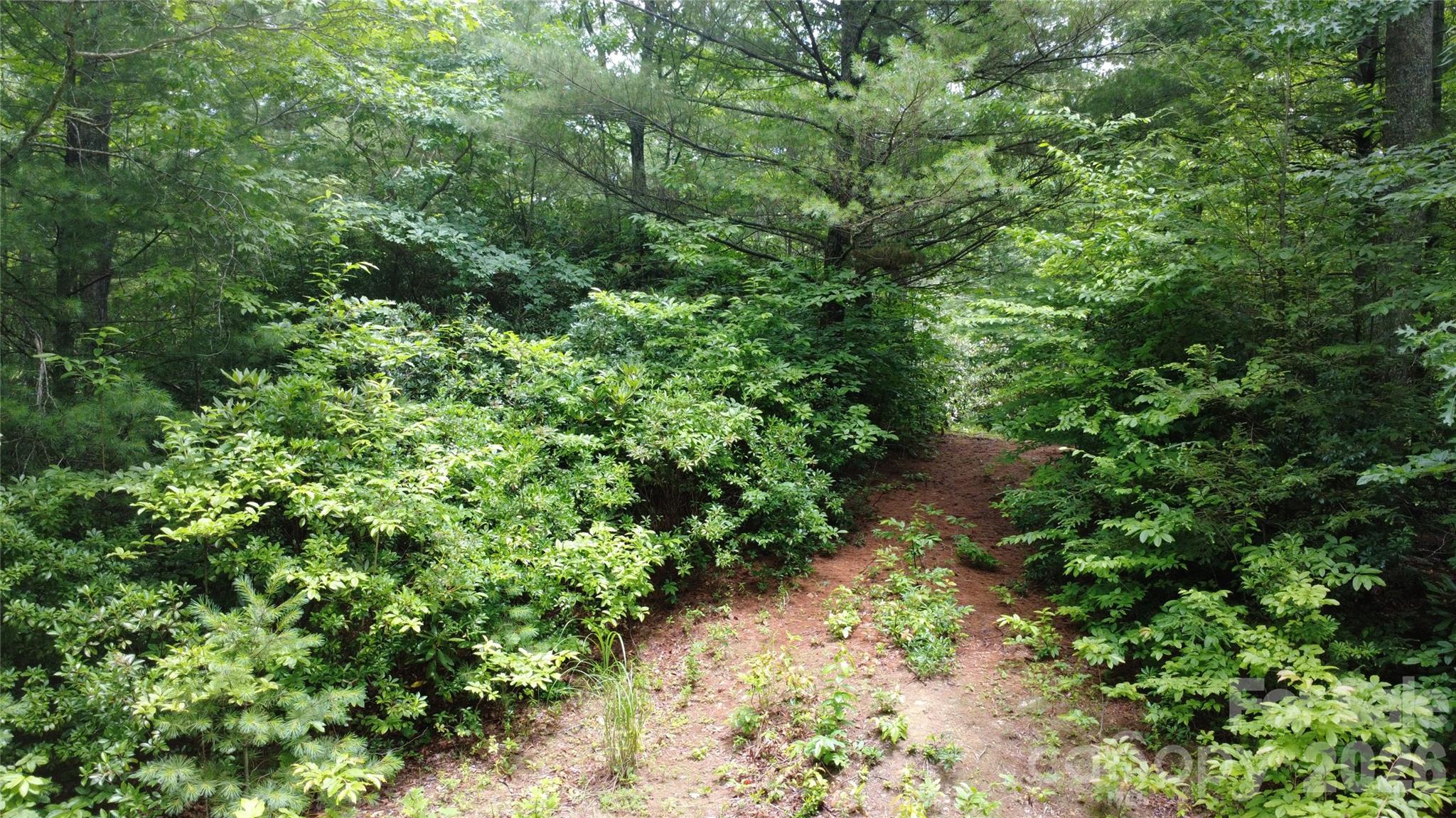 Tbd Blowing Rock Road Property Photo 19