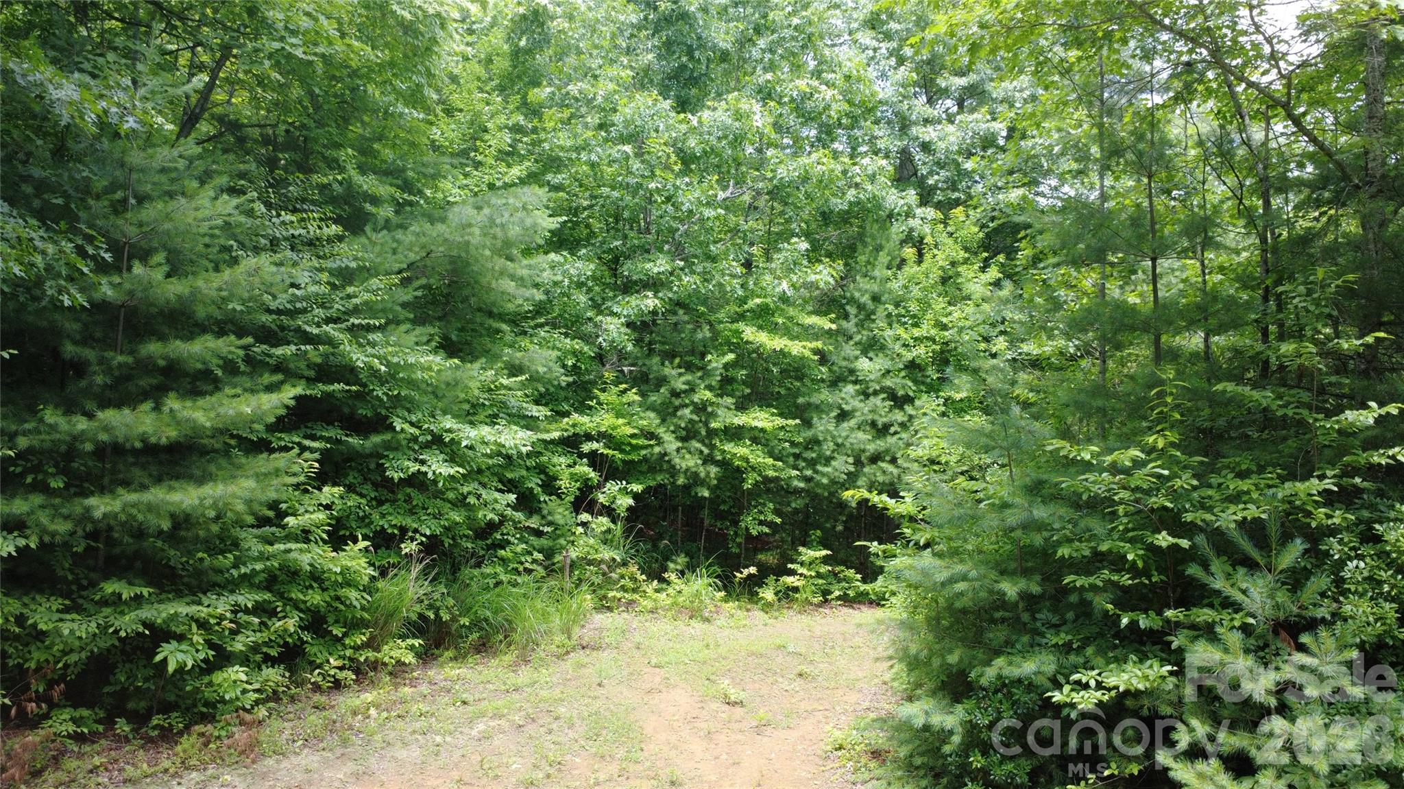 Tbd Blowing Rock Road Property Photo 20