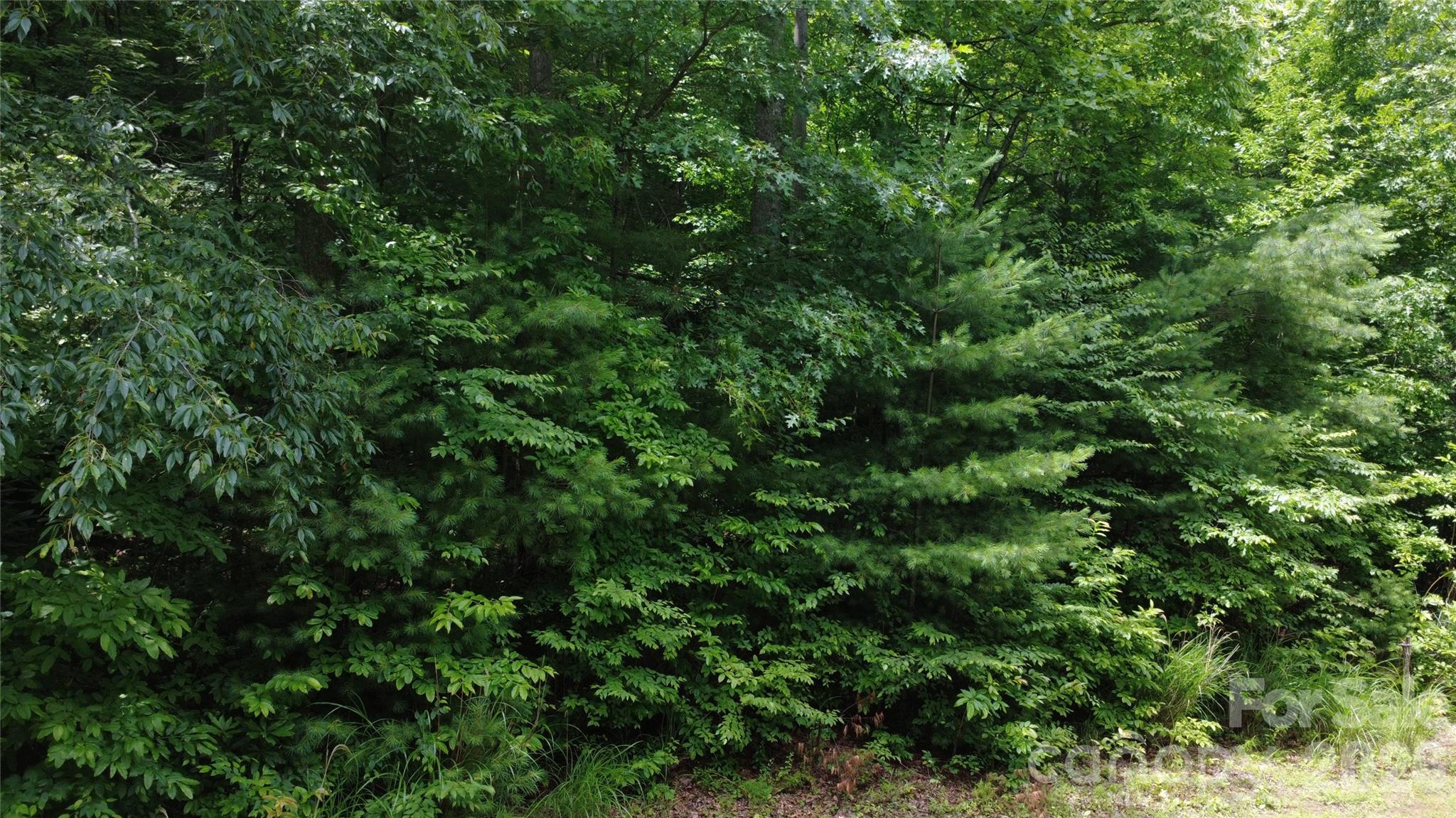 Tbd Blowing Rock Road Property Photo 21