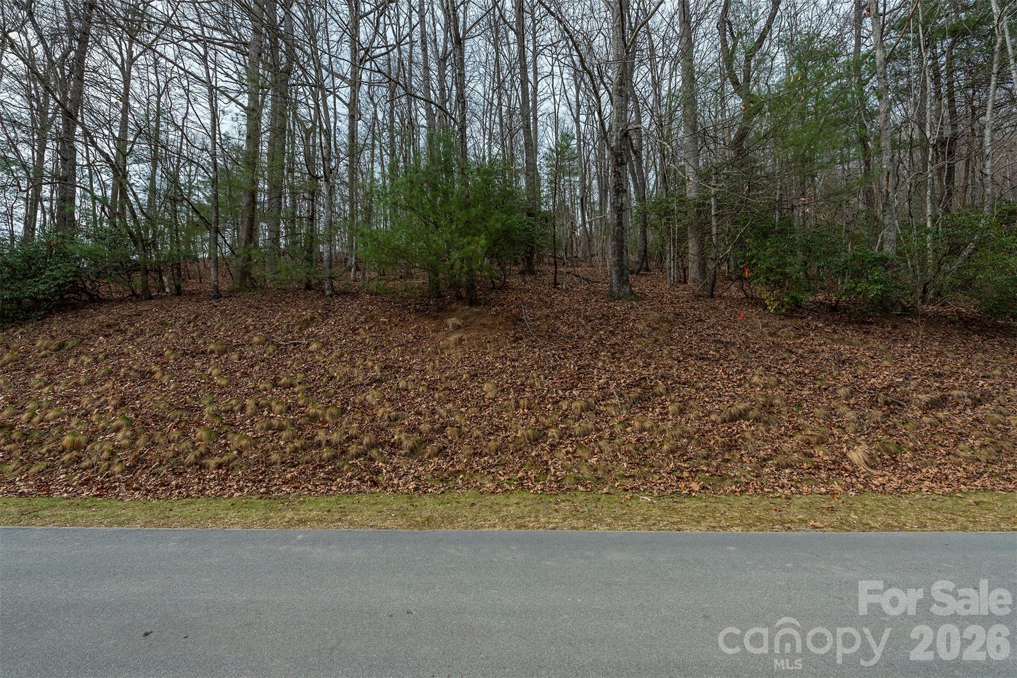 24 Falls Lane Property Photo 10