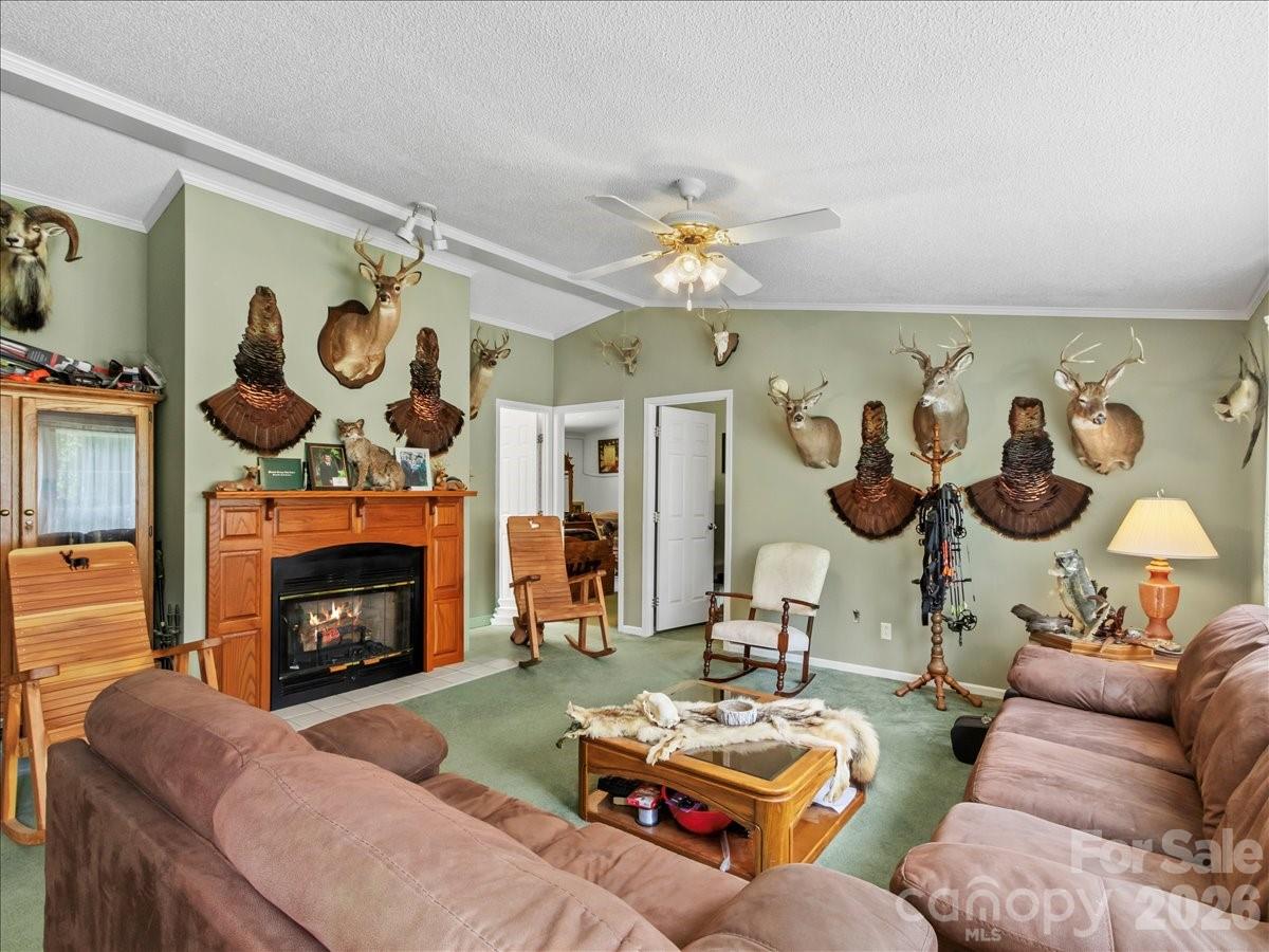 98 Cardinal Lane Property Photo 3