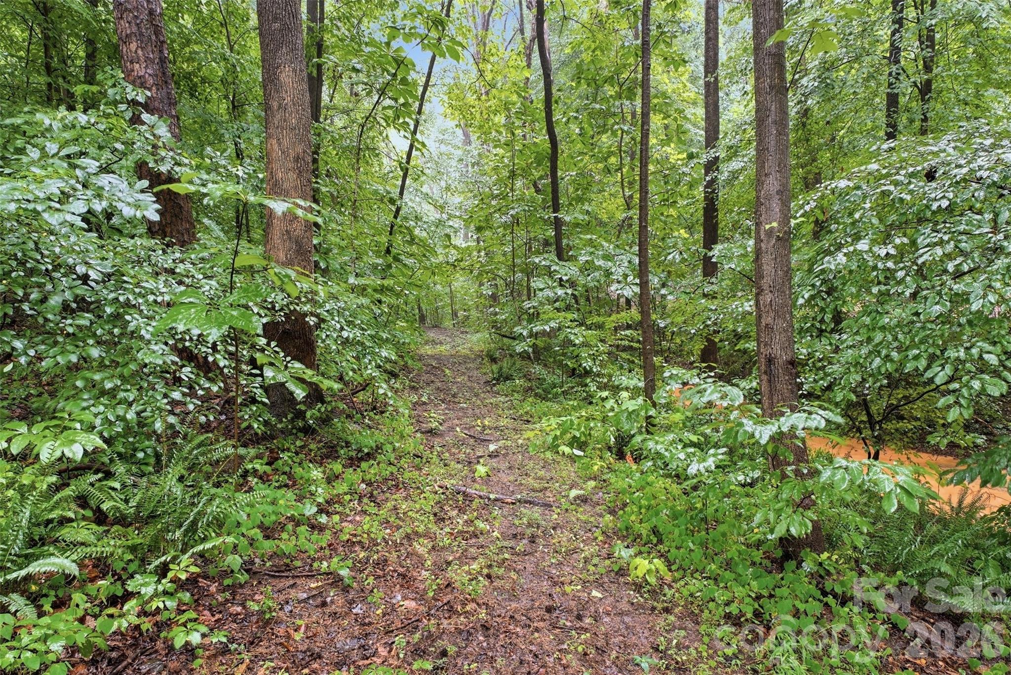 124 Stillmeadow Lane Property Photo 34