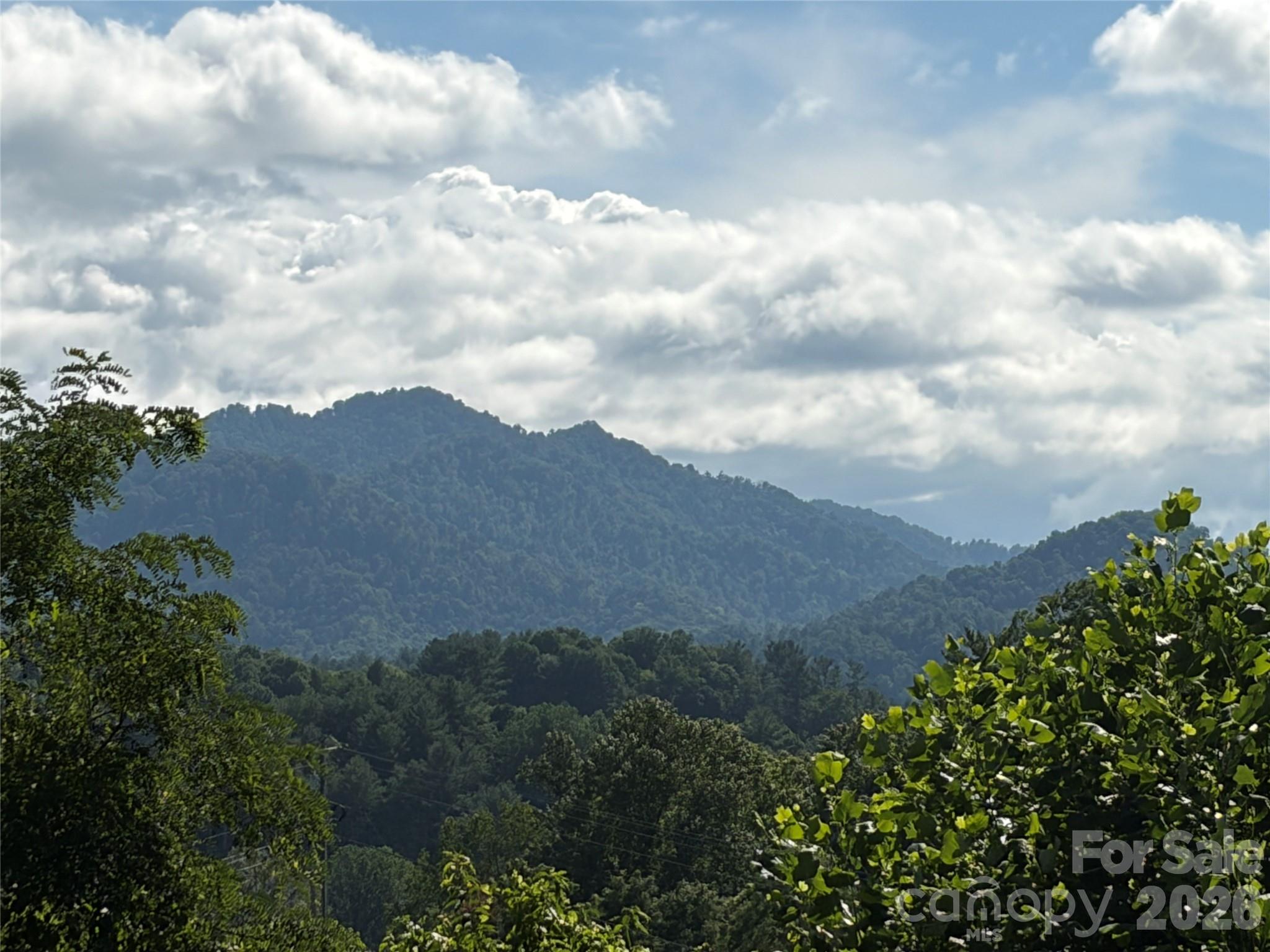 136 Johnnie Hills None Property Photo 39