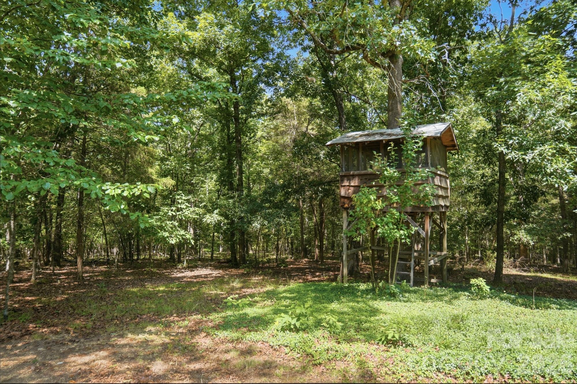 11300 Nc Hwy 73 Highway Property Photo 43