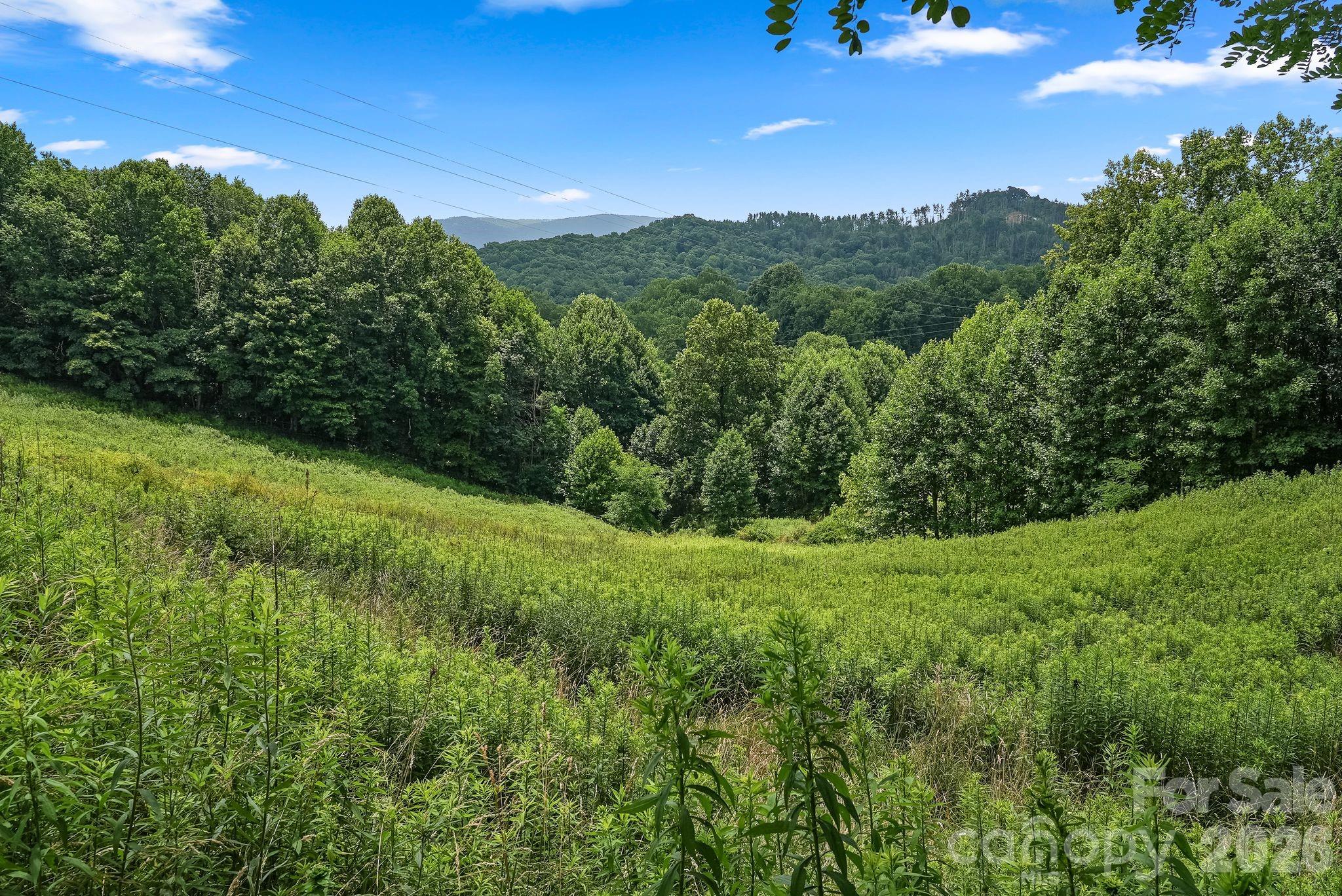 244 Flat Springs Road Property Photo 19