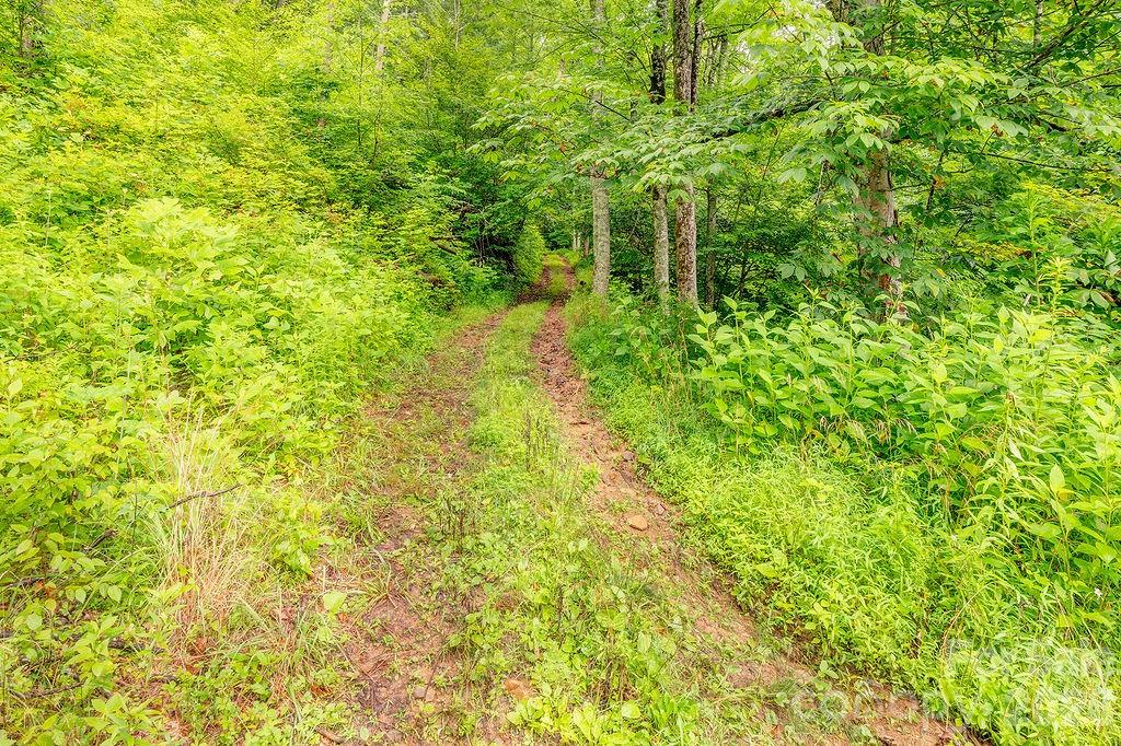 8485 Meadow Fork Road Property Photo 23