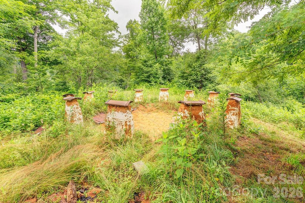 8485 Meadow Fork Road Property Photo 24