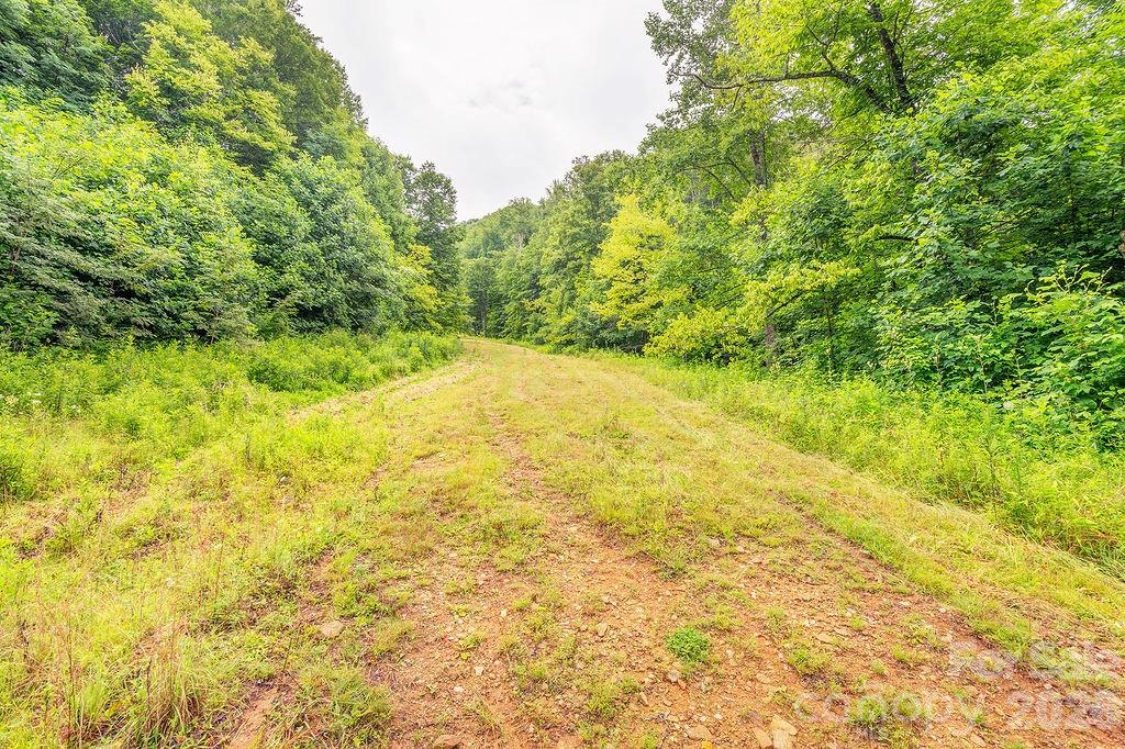8485 Meadow Fork Road Property Photo 34