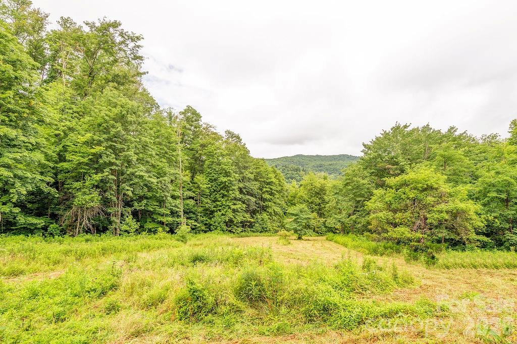 8485 Meadow Fork Road Property Photo 35