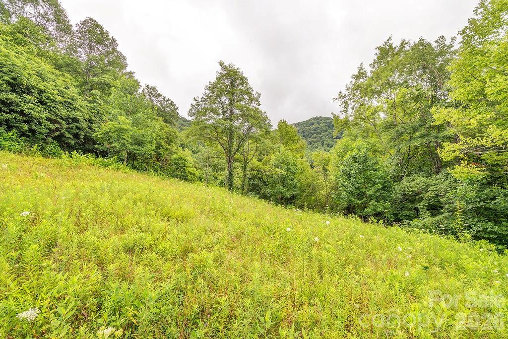 8485 Meadow Fork Road Property Photo 36