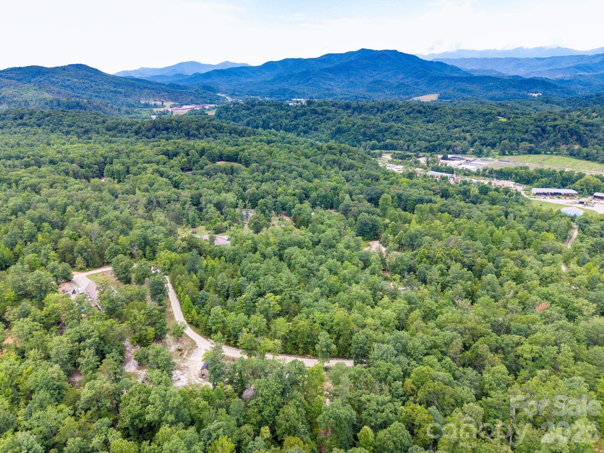 6 Dobsons Knob Loop Property Photo 2
