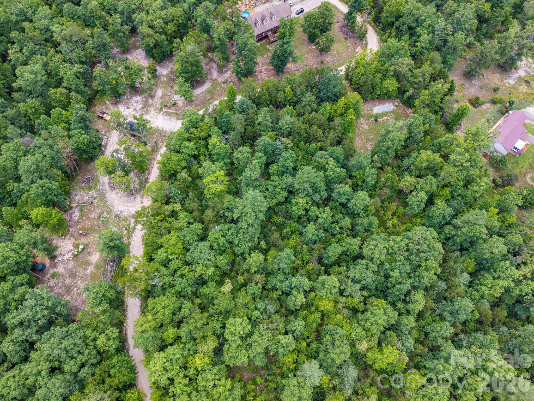 6 Dobsons Knob Loop Property Photo 5