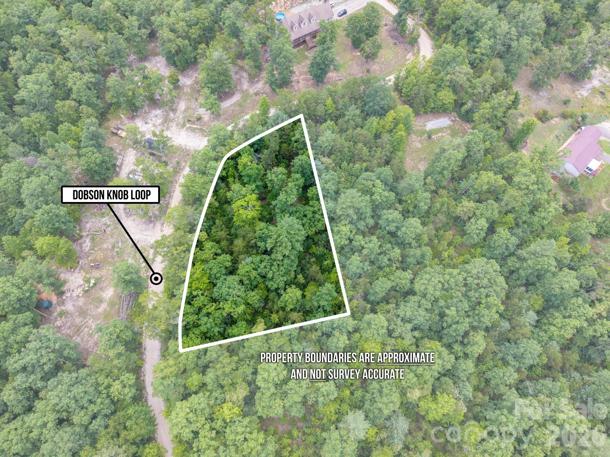 6 Dobsons Knob Loop Property Photo 6