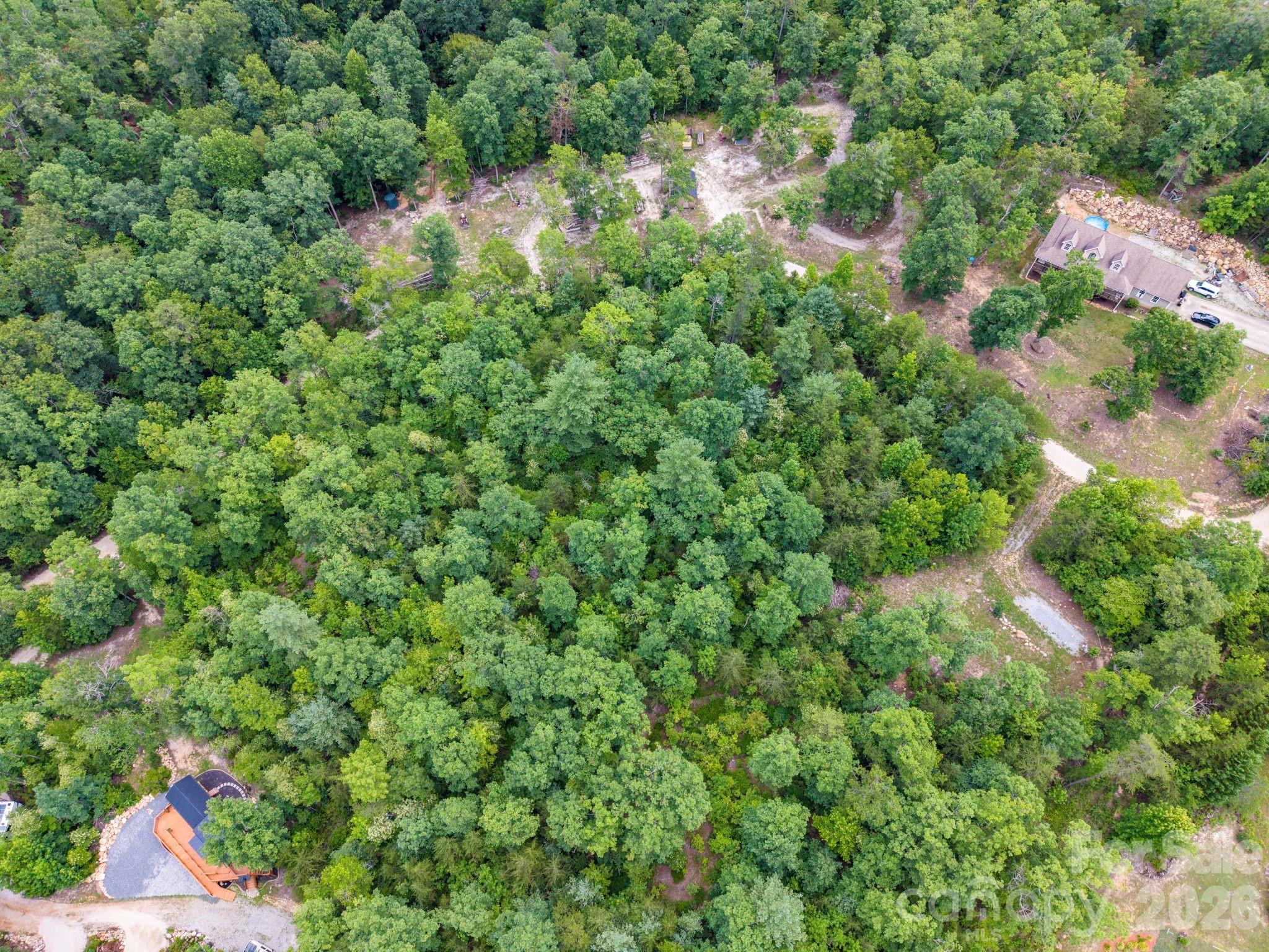 6 Dobsons Knob Loop Property Photo 7