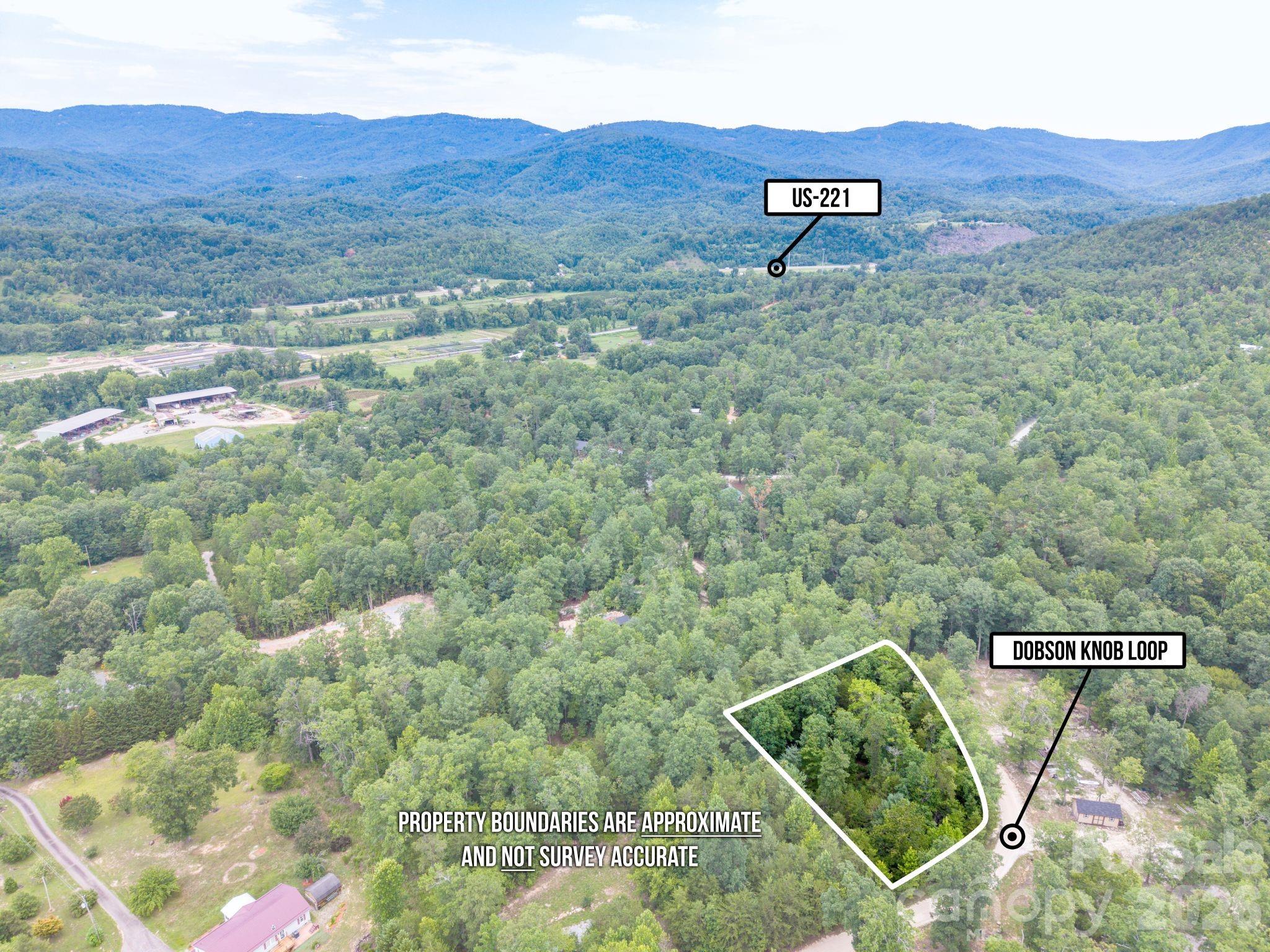6 Dobsons Knob Loop Property Photo 12