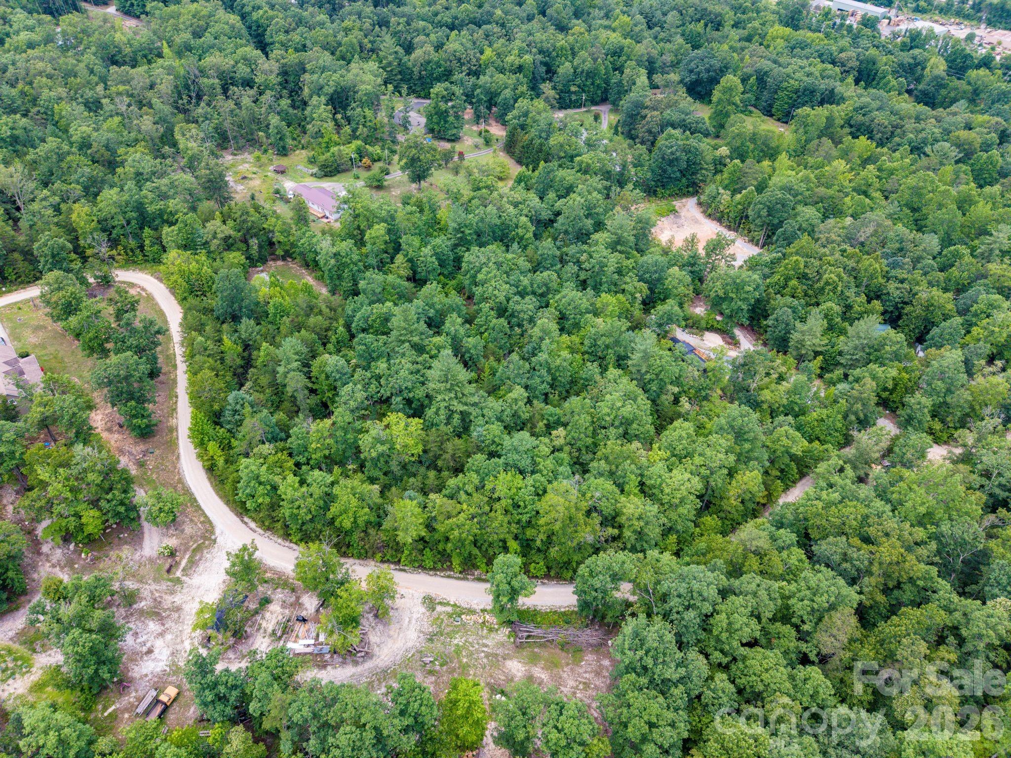 6 Dobsons Knob Loop Property Photo 13